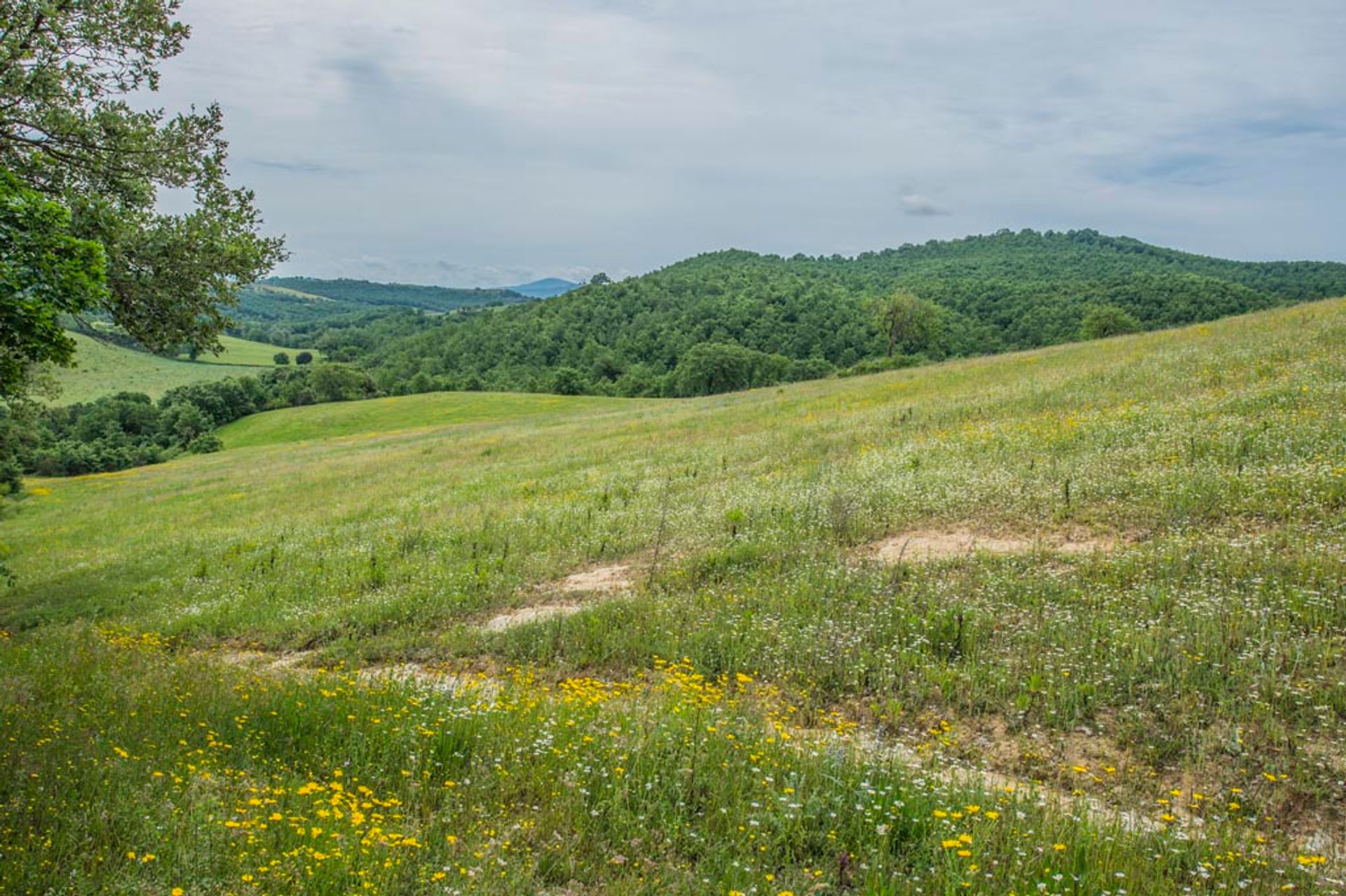 אַחֵר ב Scansano, Tuscany 10063158