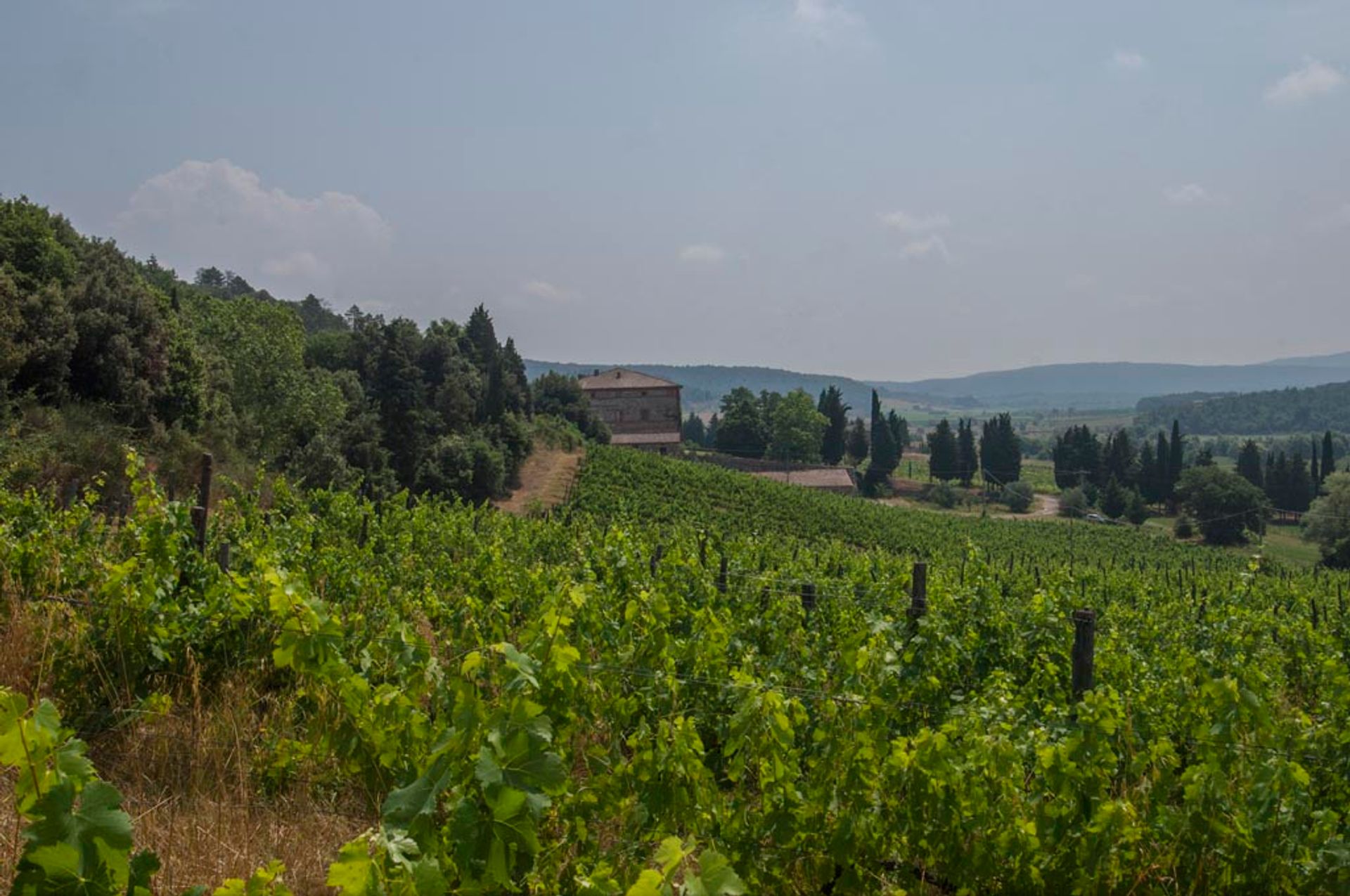 其他 在 Siena, Siena 10063187