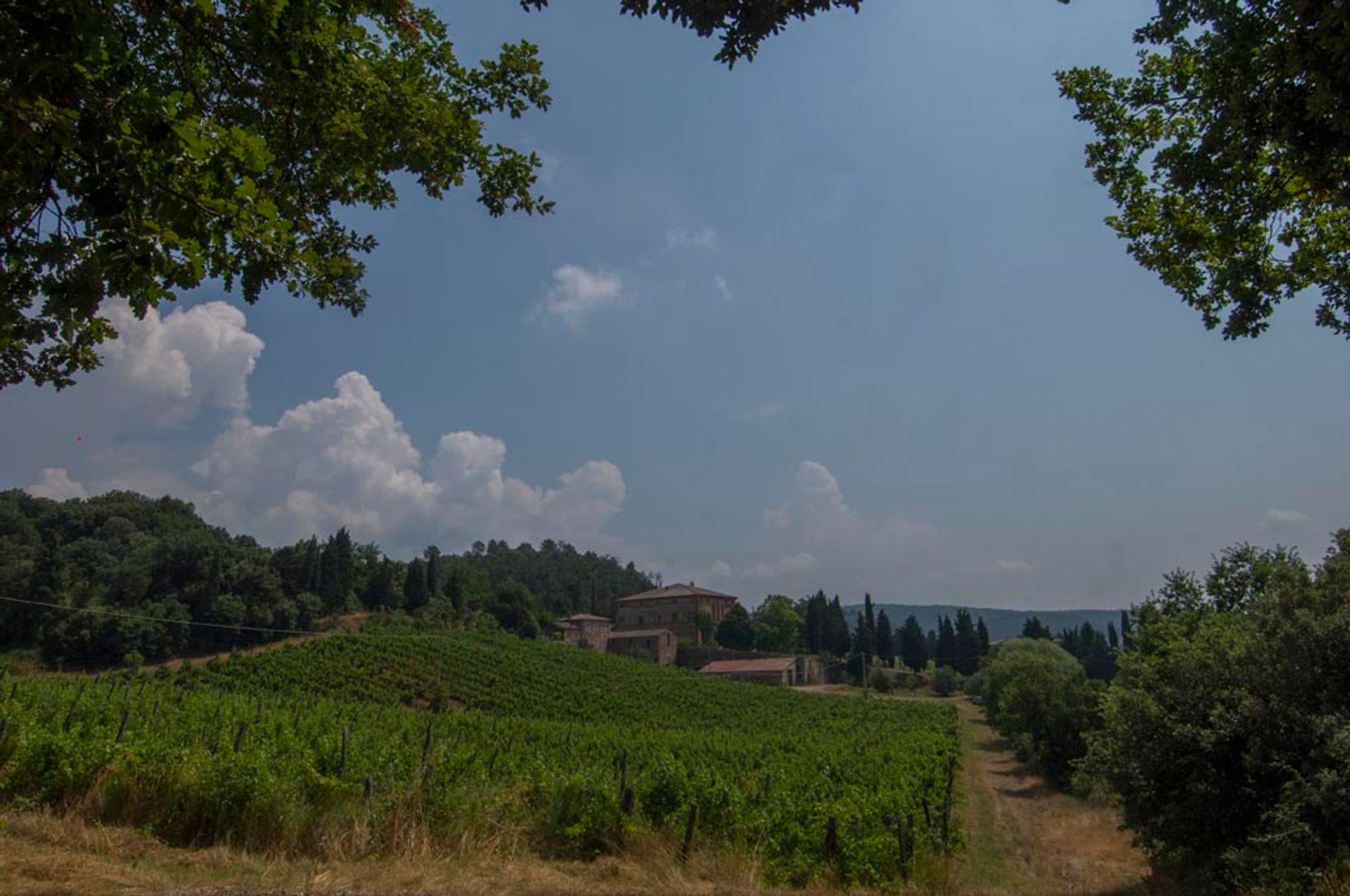 其他 在 Siena, Siena 10063187