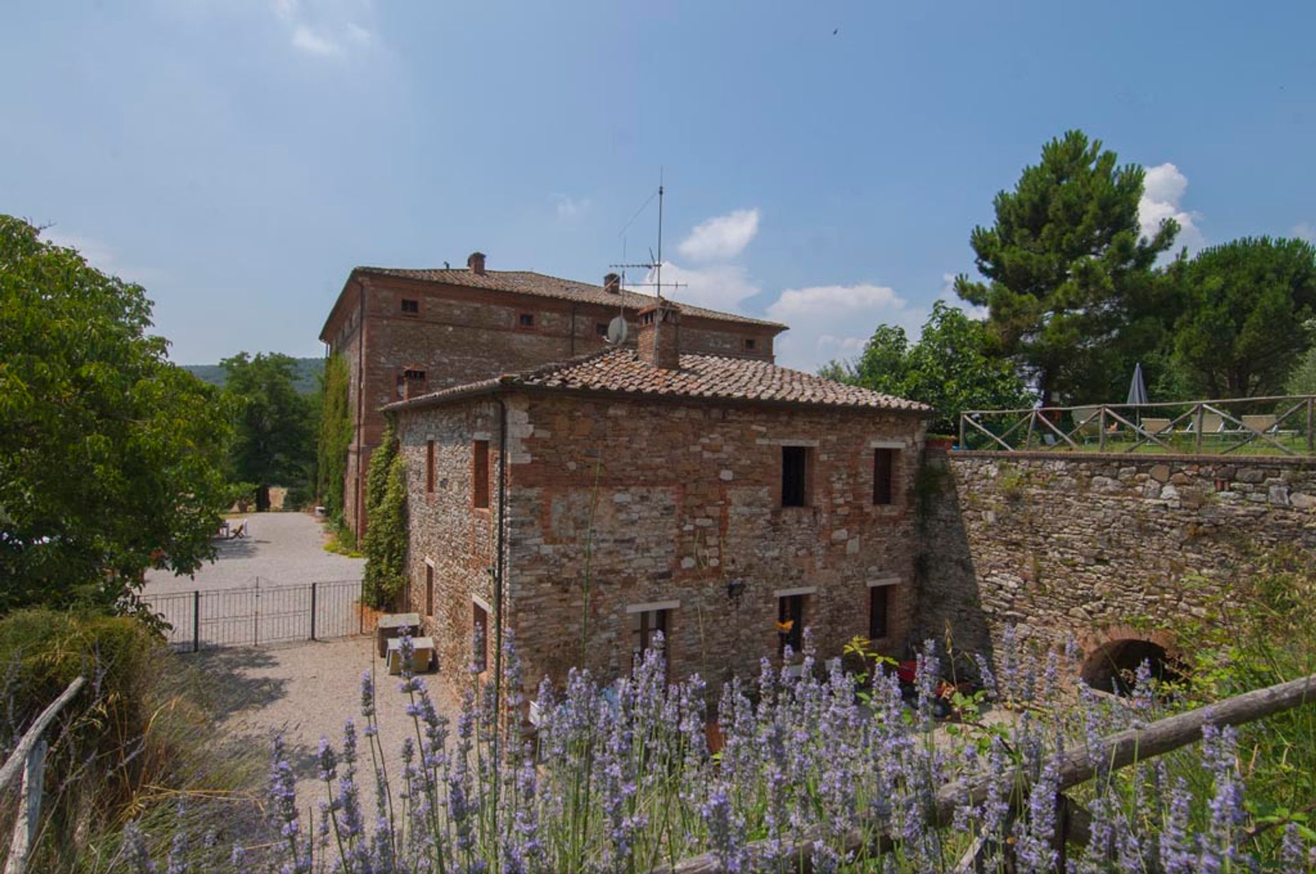 其他 在 Siena, Siena 10063187