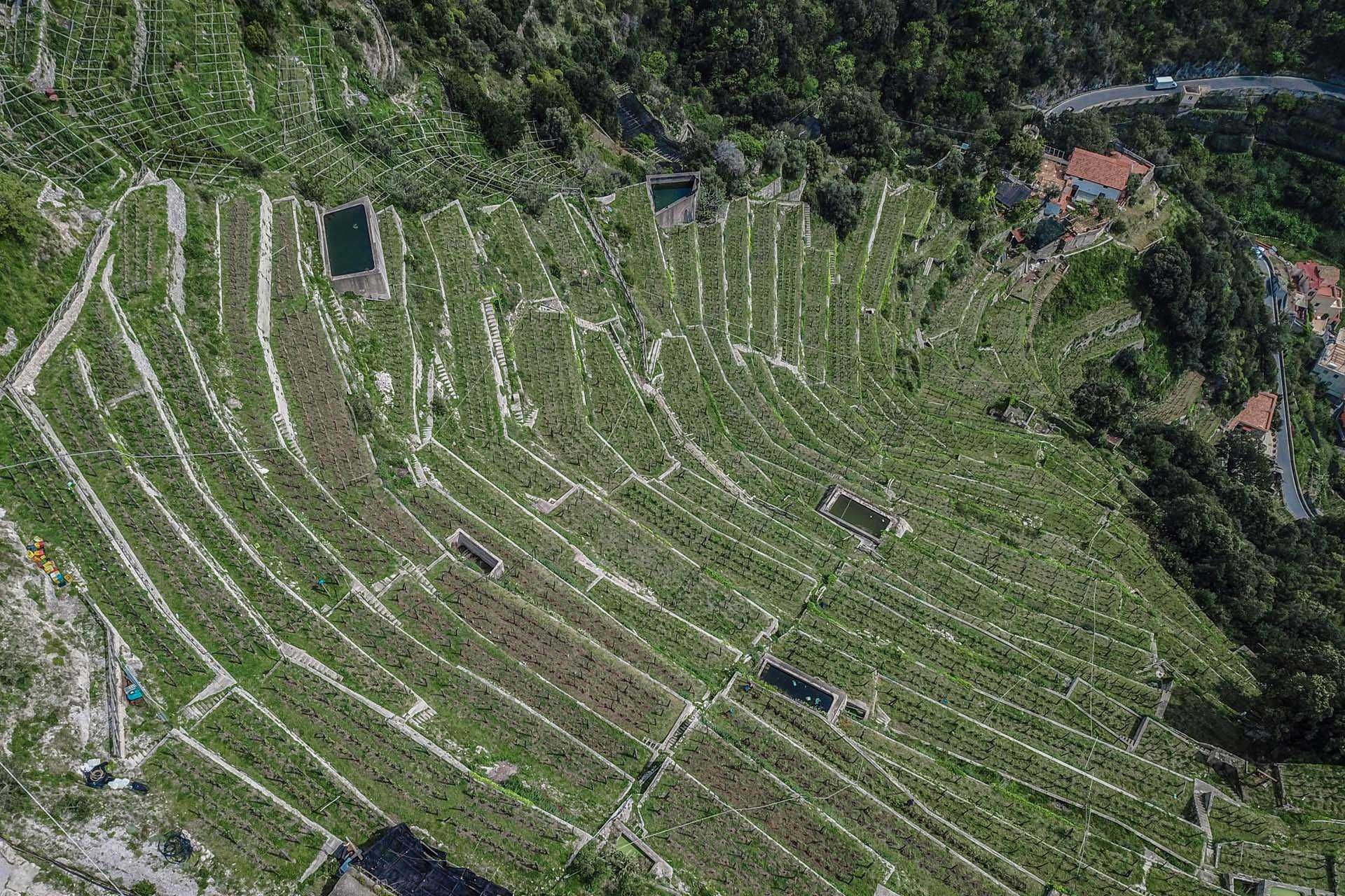 Inny w Conca dei Marini, Kampania 10063213