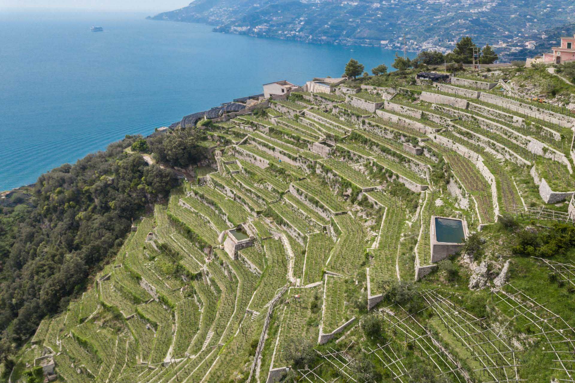 Annen i Maiori, Salerno 10063213