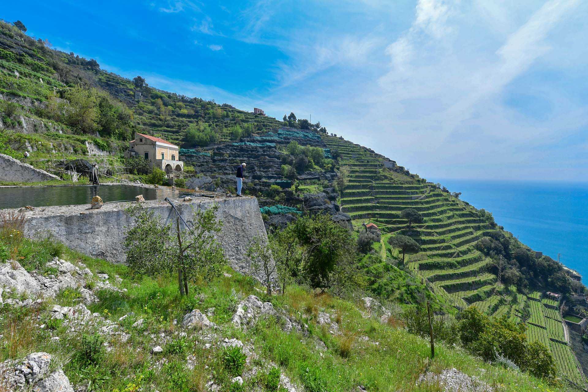 Annen i Maiori, Salerno 10063213