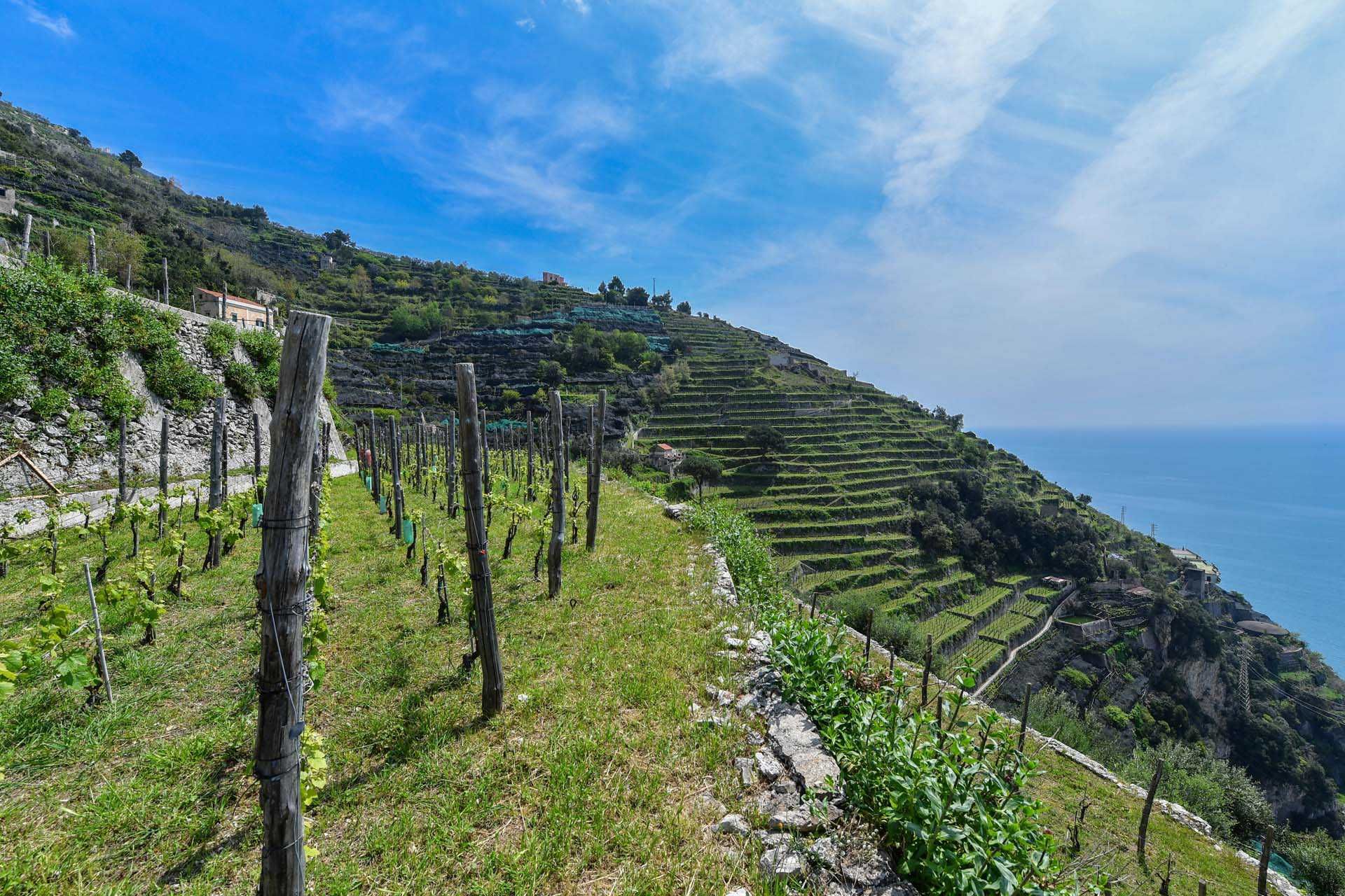 Annen i Maiori, Salerno 10063213