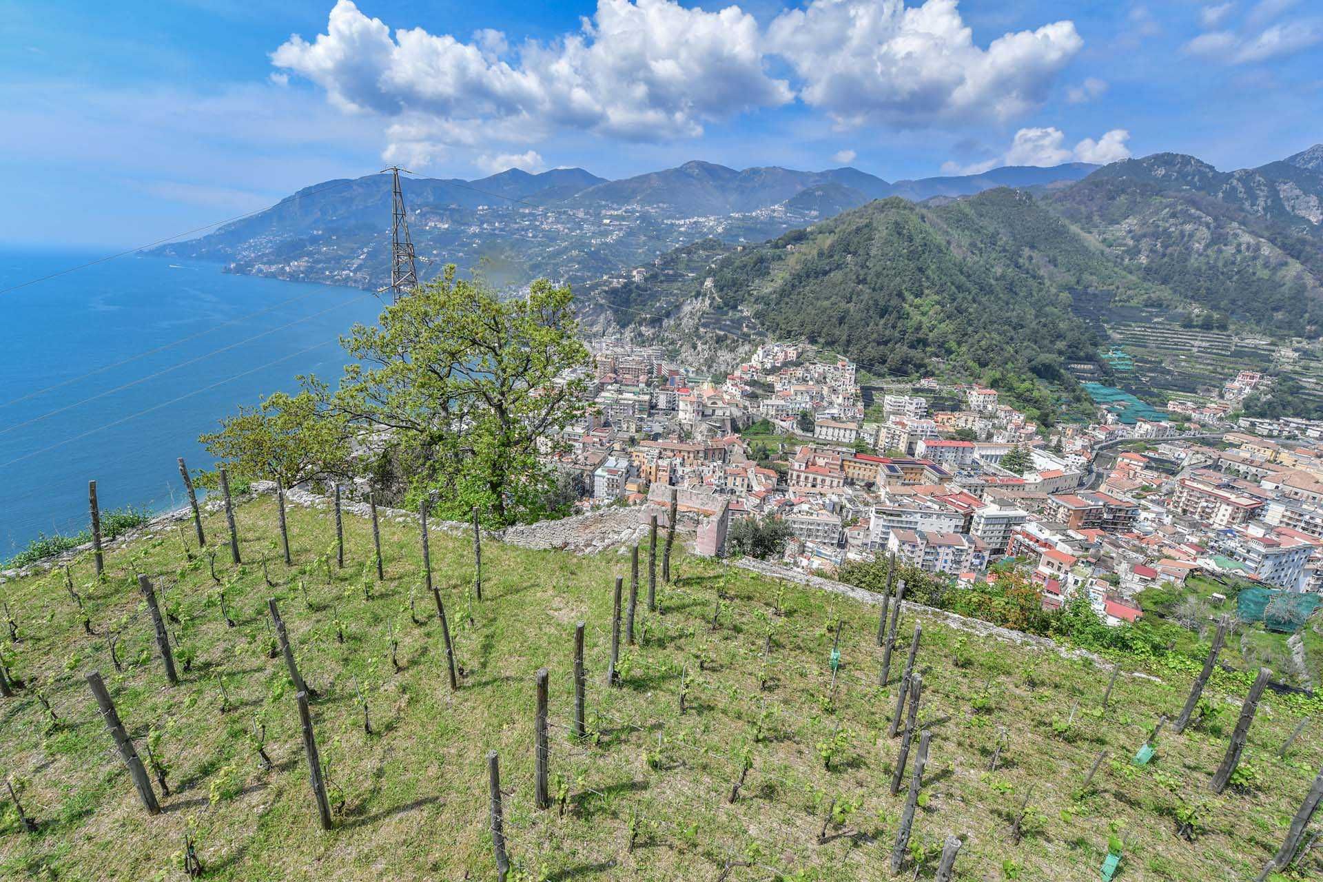 Annen i Maiori, Salerno 10063213