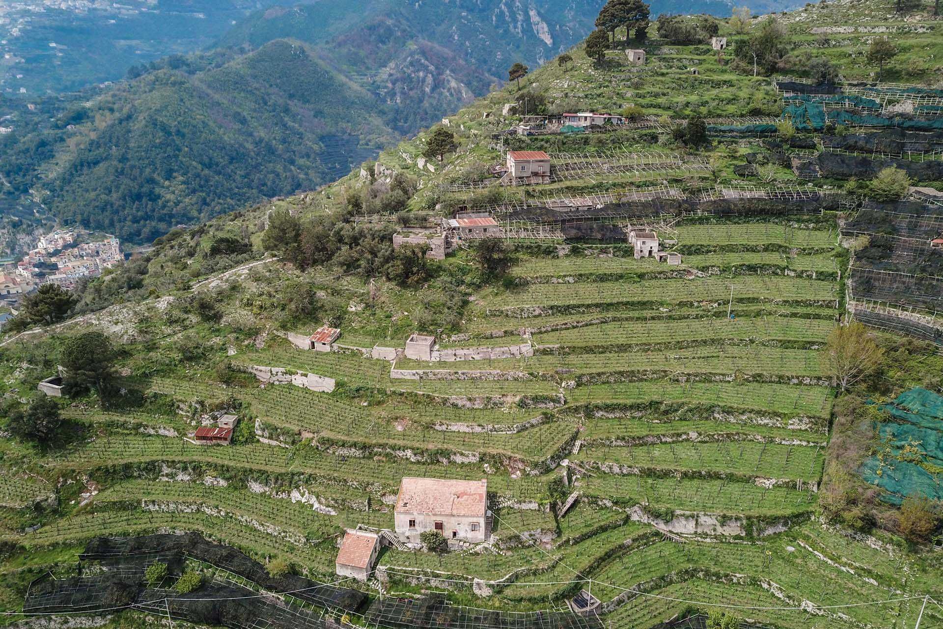 Annen i Maiori, Salerno 10063213