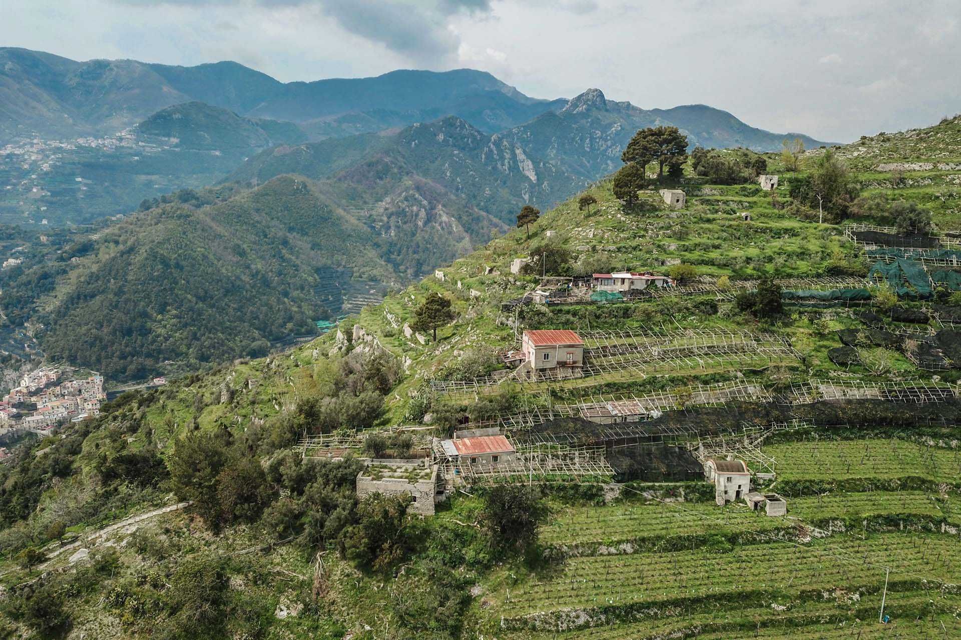 Annen i Maiori, Salerno 10063213