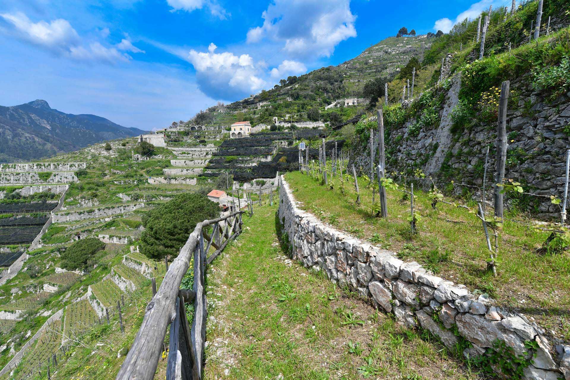 Annen i Maiori, Salerno 10063213