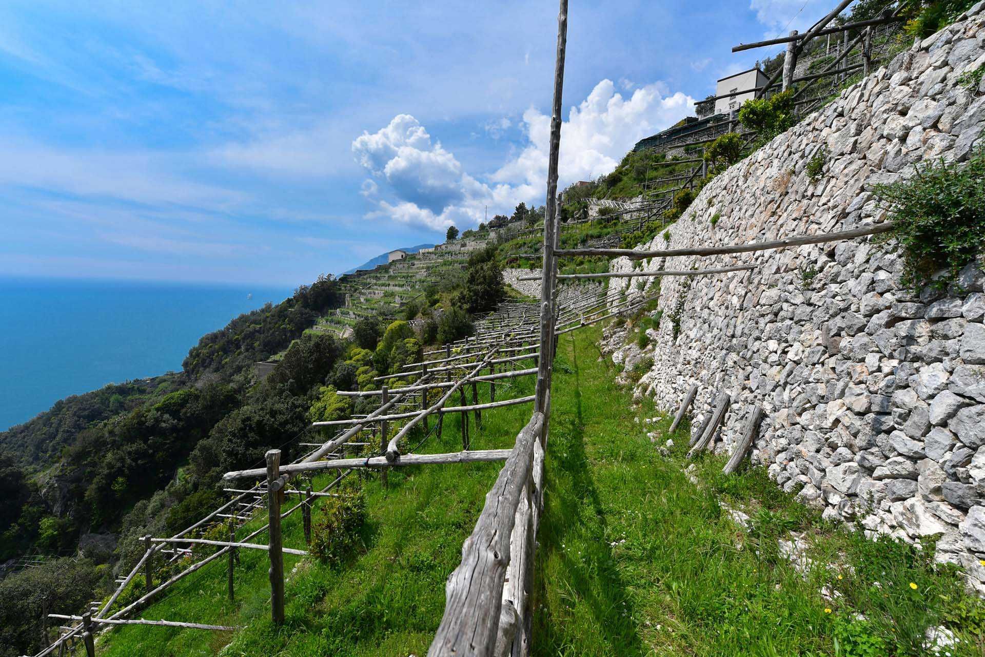 Annen i Maiori, Salerno 10063213