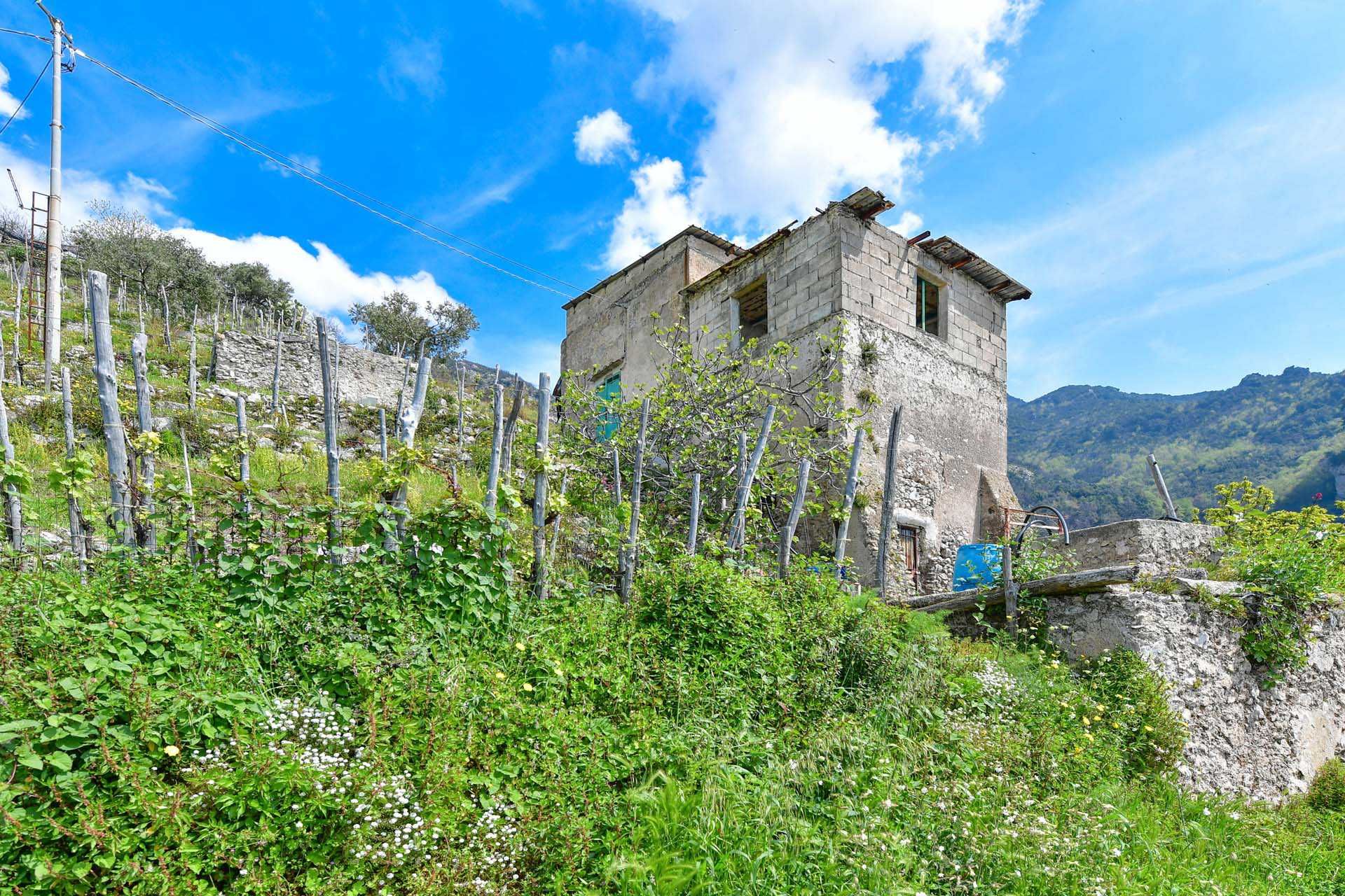 Annen i Maiori, Salerno 10063213