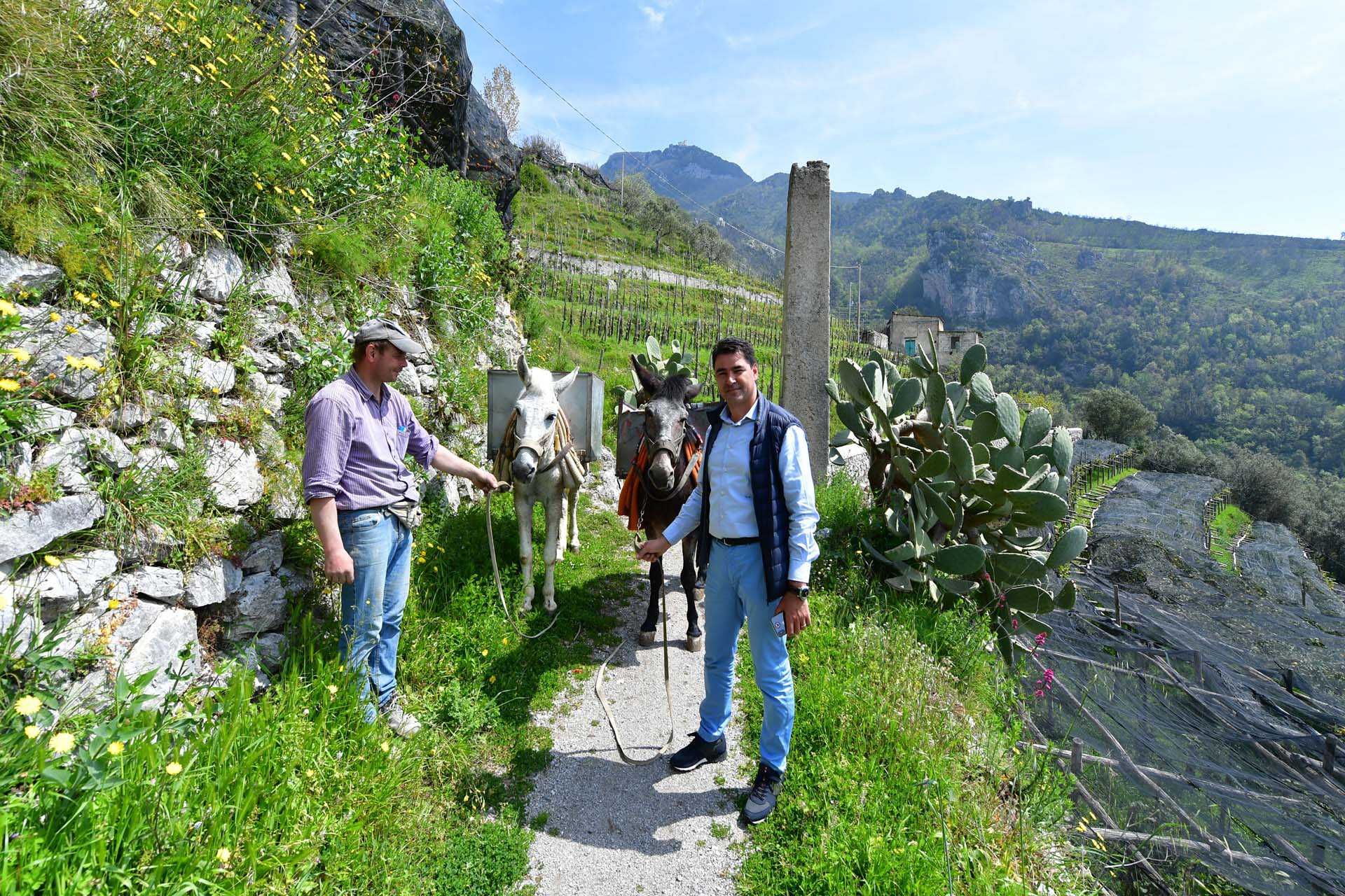 Annen i Maiori, Salerno 10063213