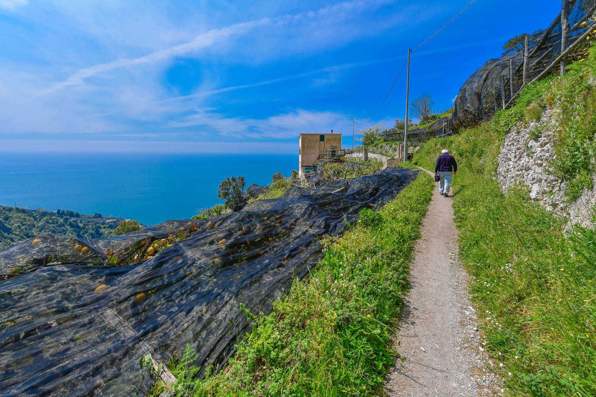 Annen i Maiori, Salerno 10063213