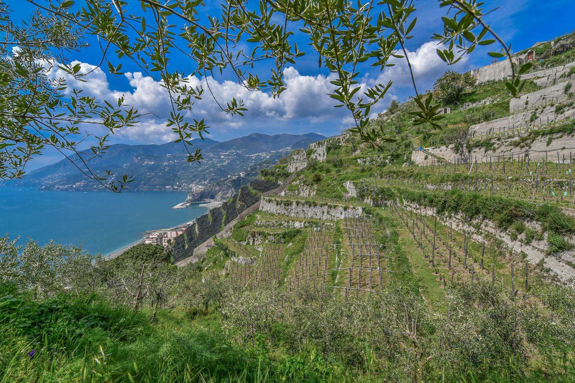 Annen i Maiori, Salerno 10063213