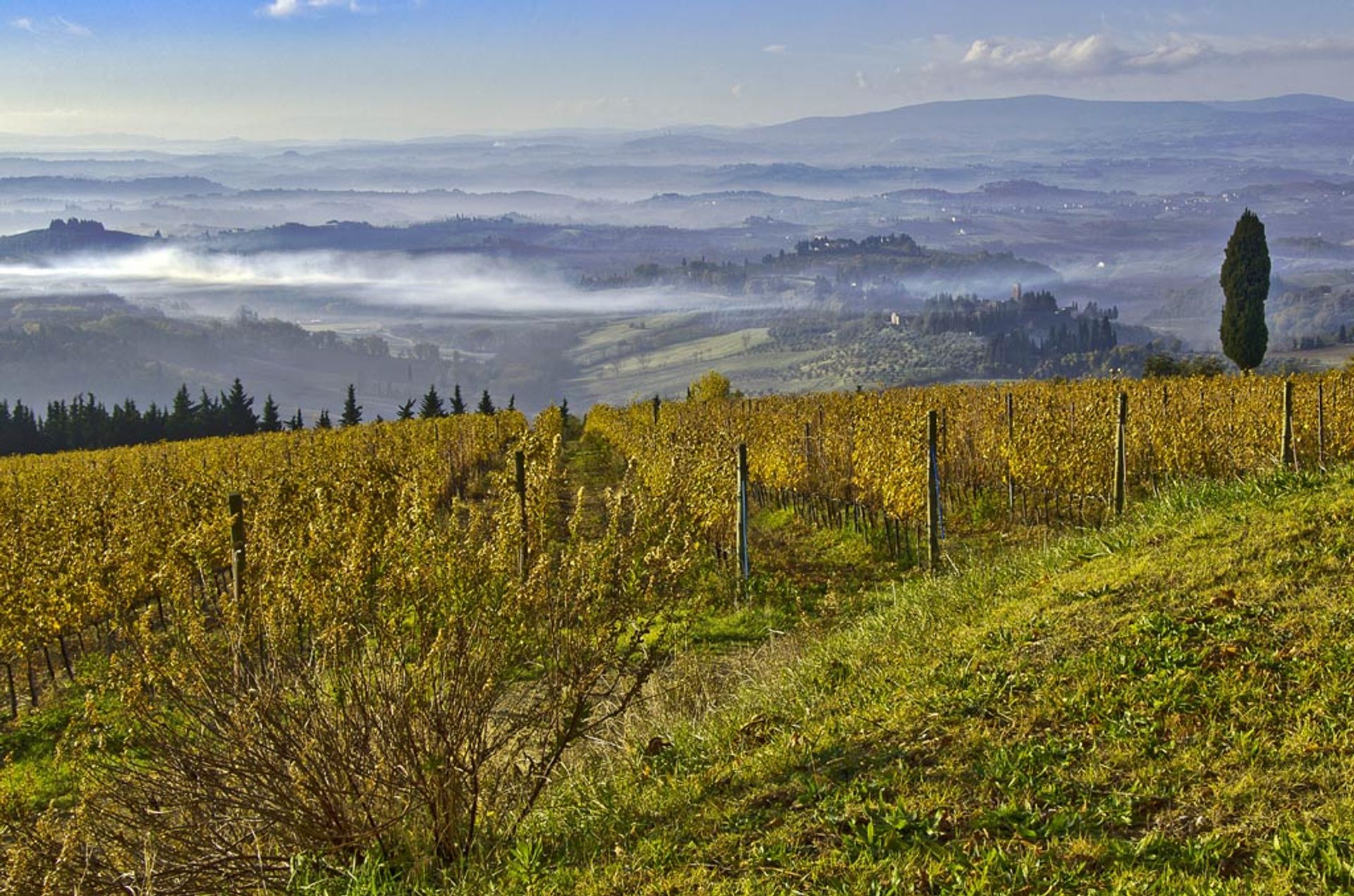 آخر في Certaldo, Tuscany 10063283