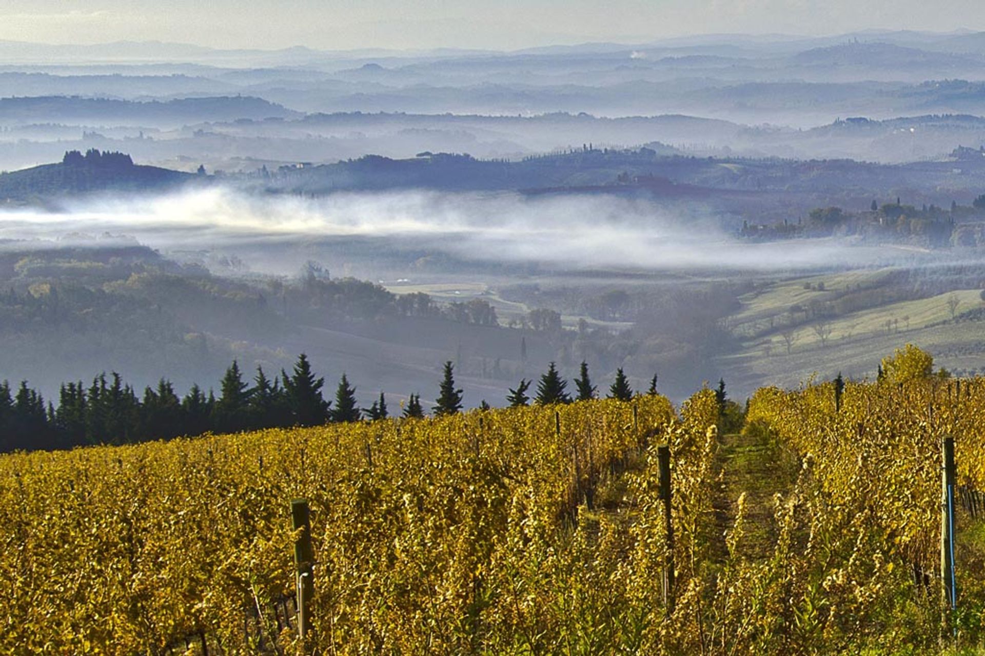 آخر في Certaldo, Tuscany 10063283