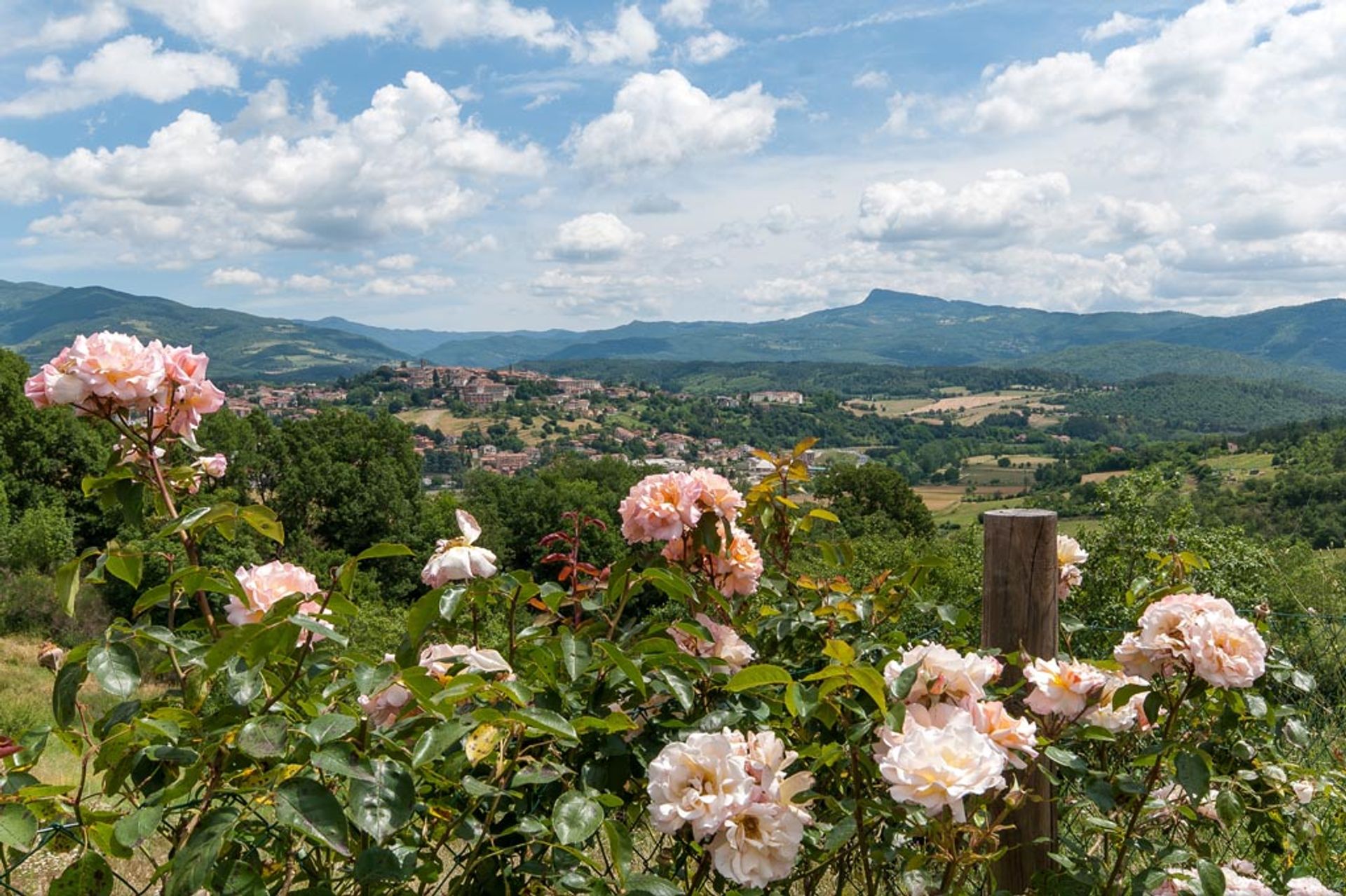 بيت في Poppi, Arezzo 10063310