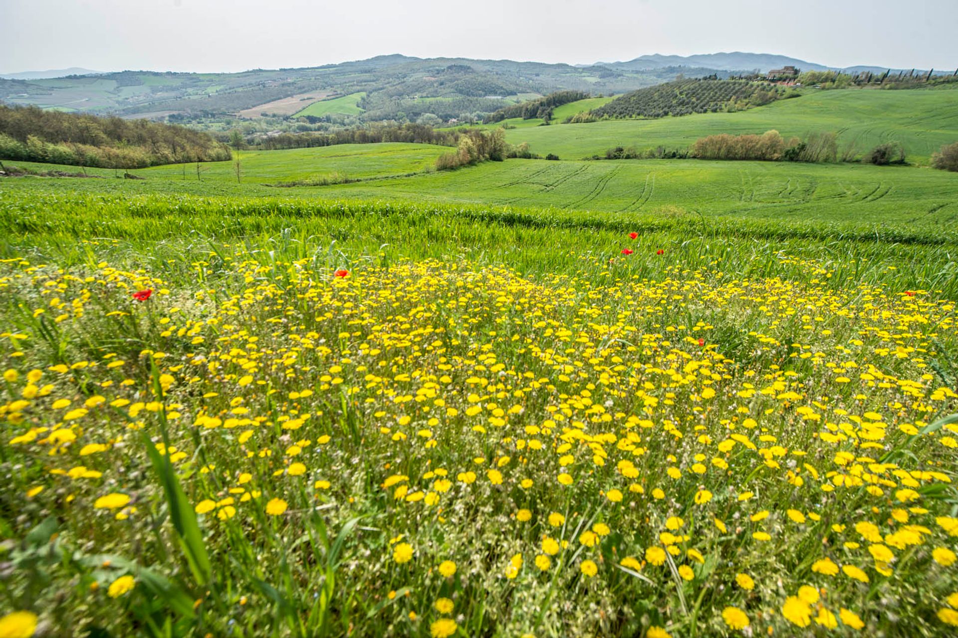 بيت في Todi, Perugia 10063335