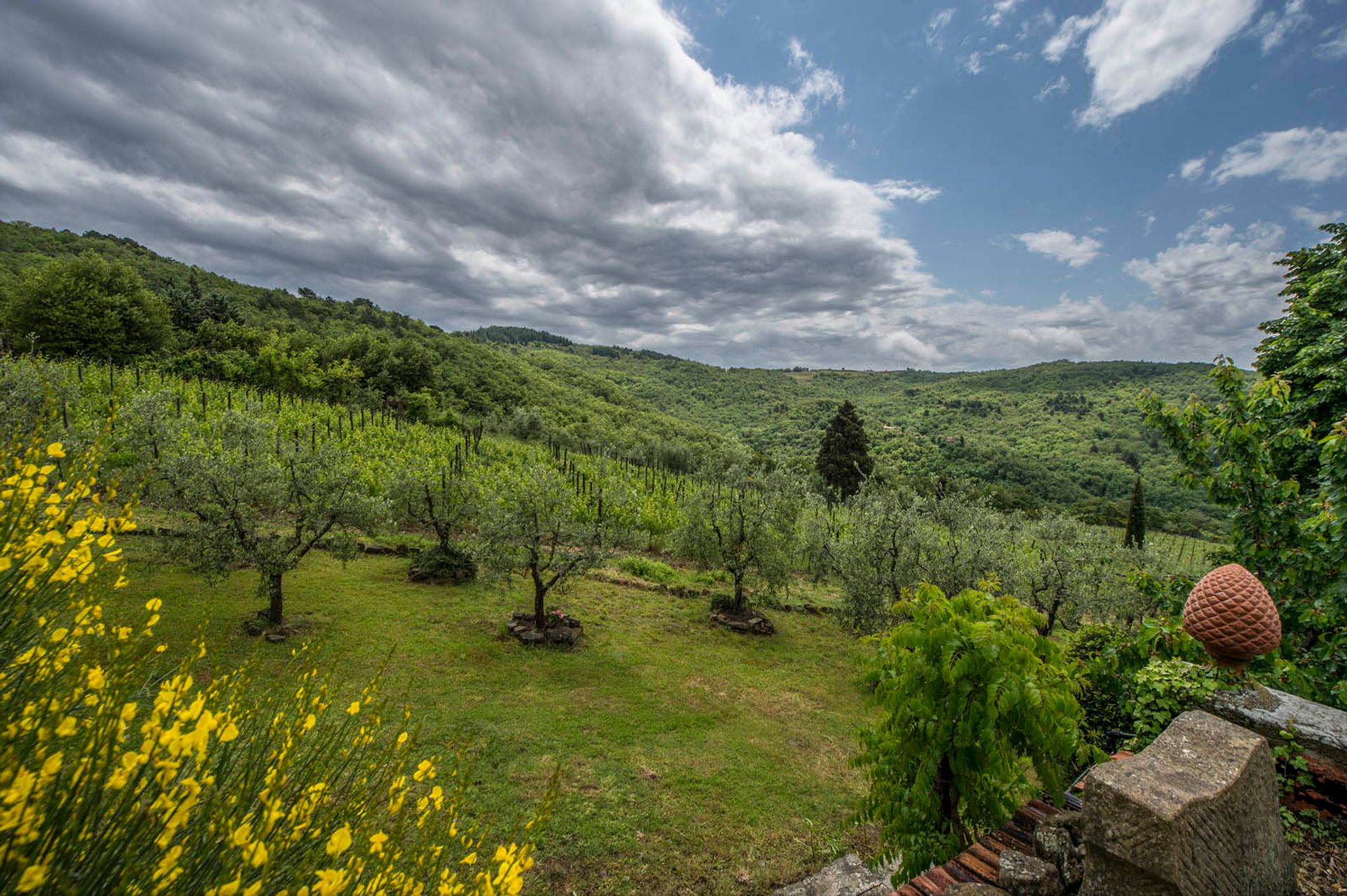 Muu sisään Greve In Chianti, Florence Province 10063340