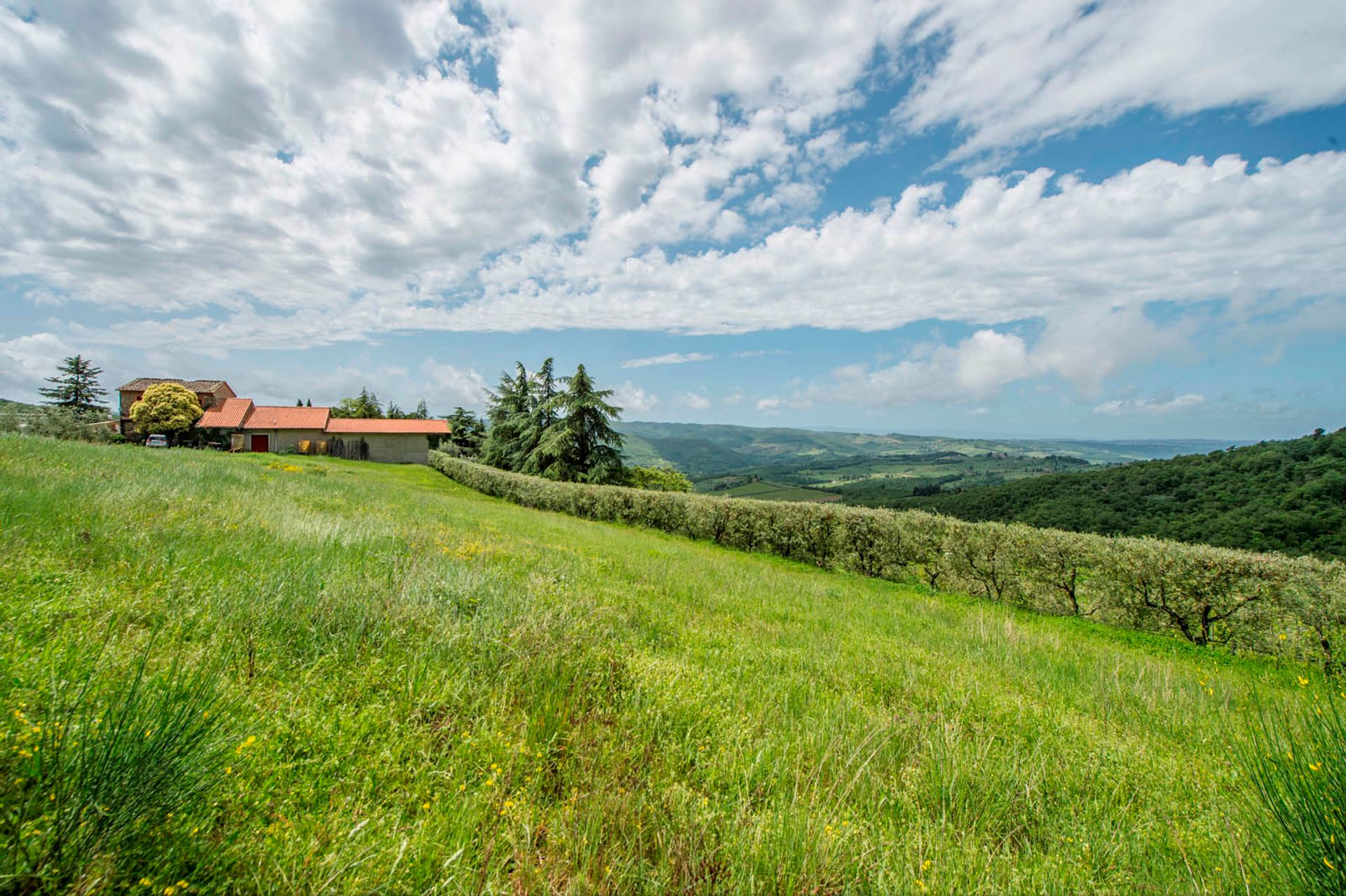 其他 在 Greve In Chianti, Florence Province 10063340