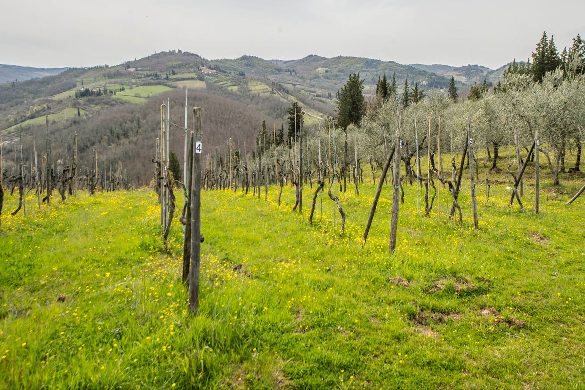 жилой дом в Greve In Chianti, Florence Province 10063342