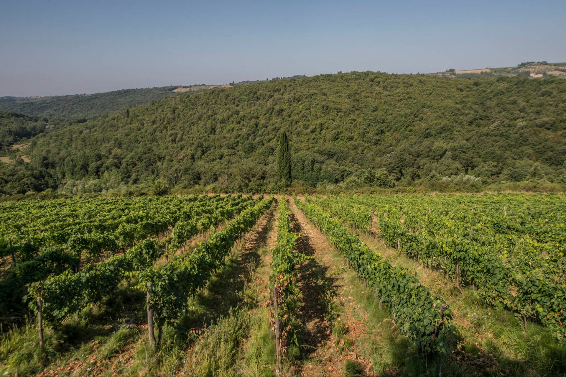 Autre dans Gaiole In Chianti, Siena 10063351