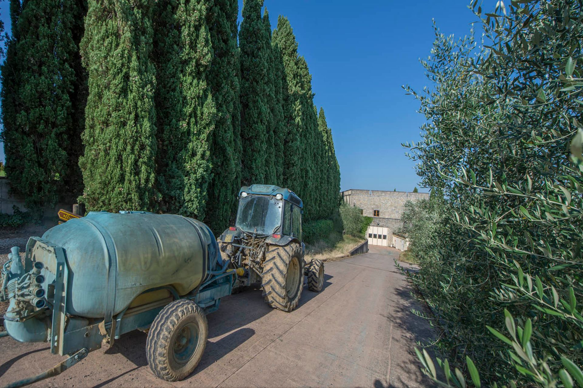 Annen i Gaiole In Chianti, Siena 10063351