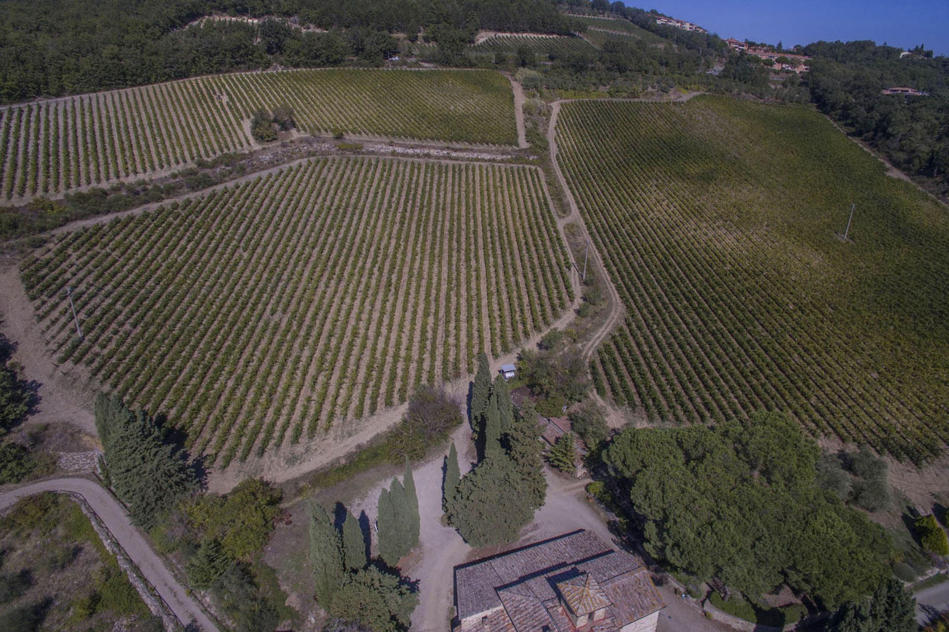 Yang lain dalam Castellina In Chianti, Siena 10063367