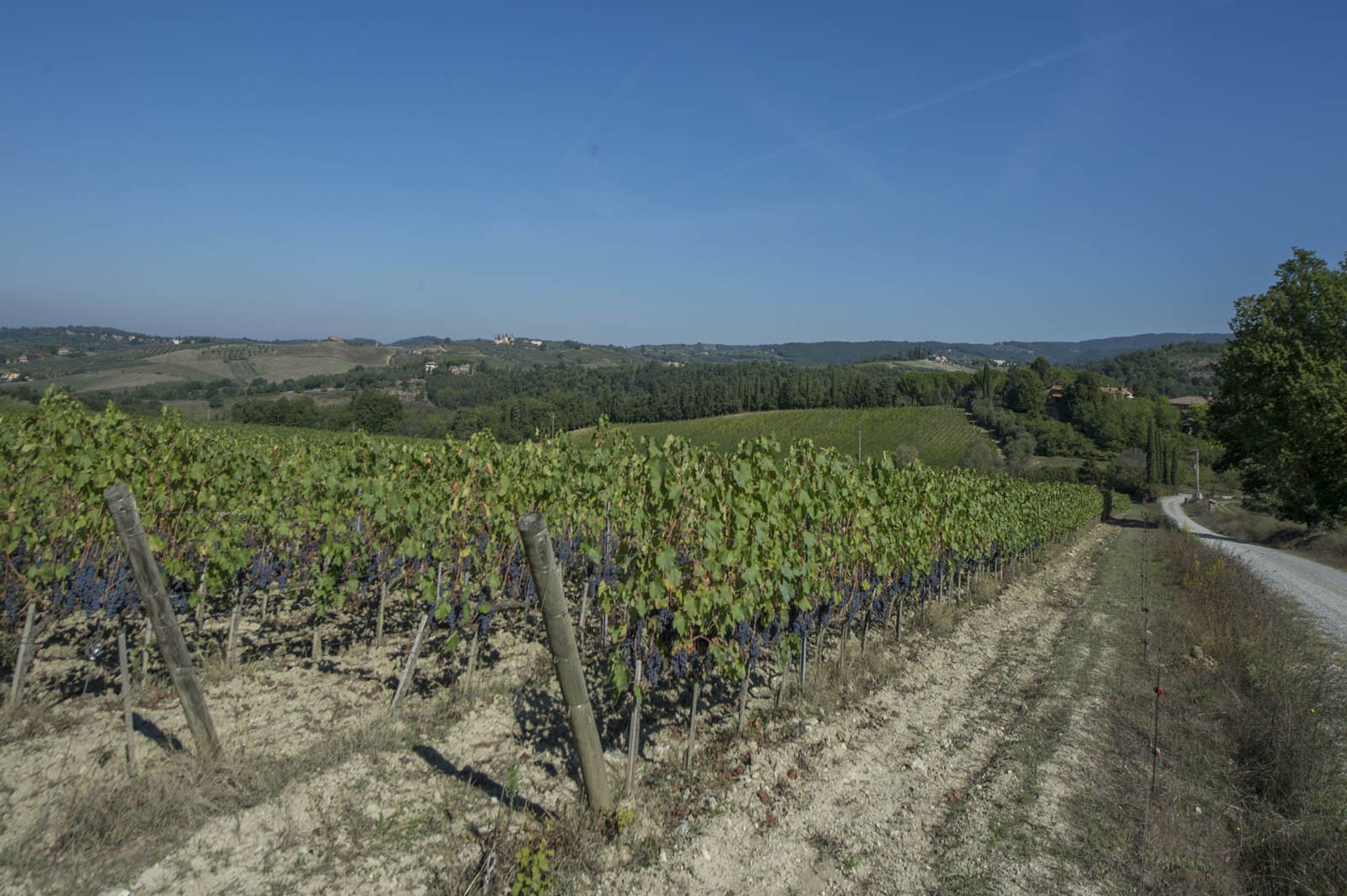 Yang lain dalam Castellina In Chianti, Siena 10063367