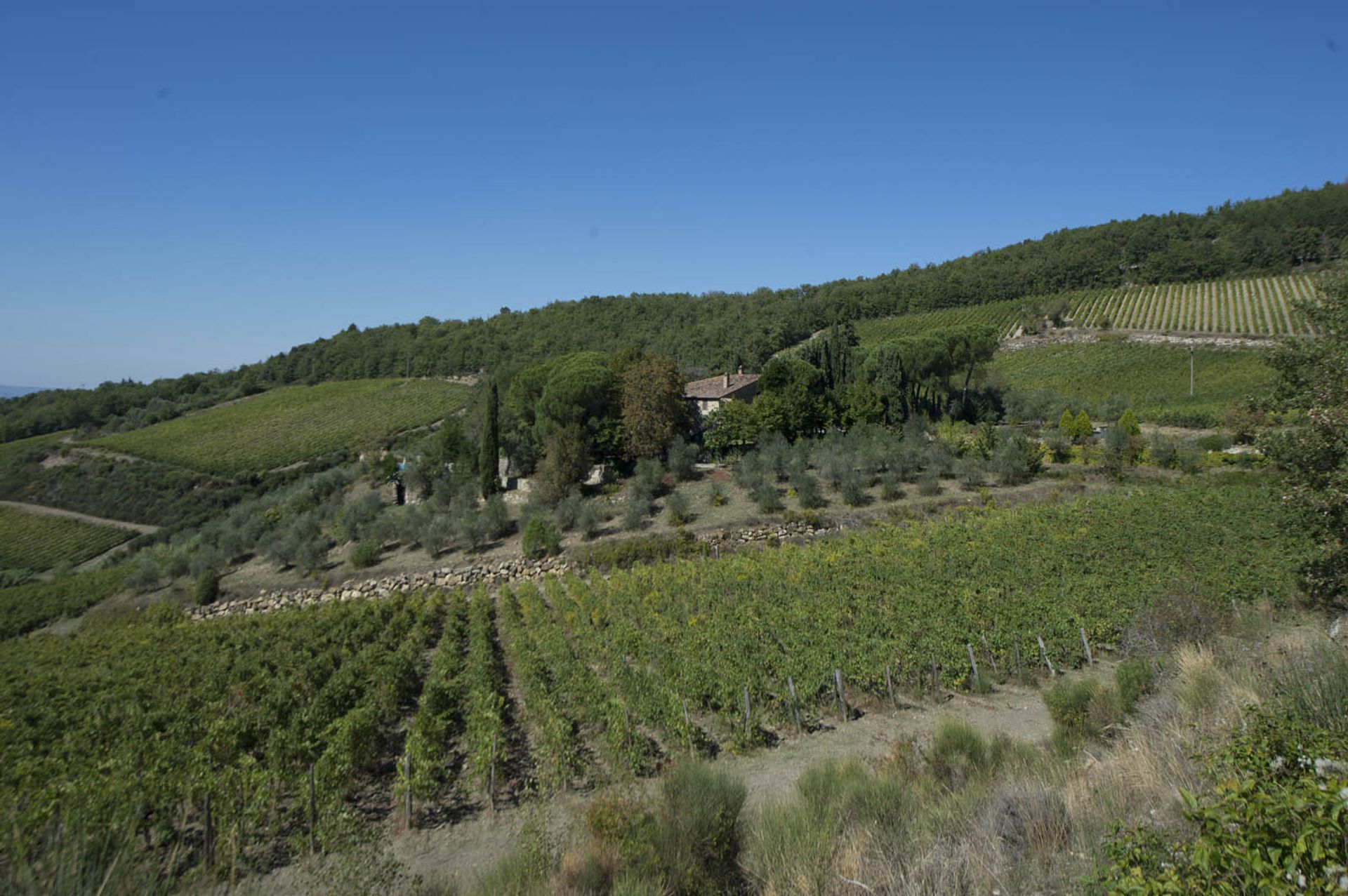 다른 에 Castellina In Chianti, Siena 10063367