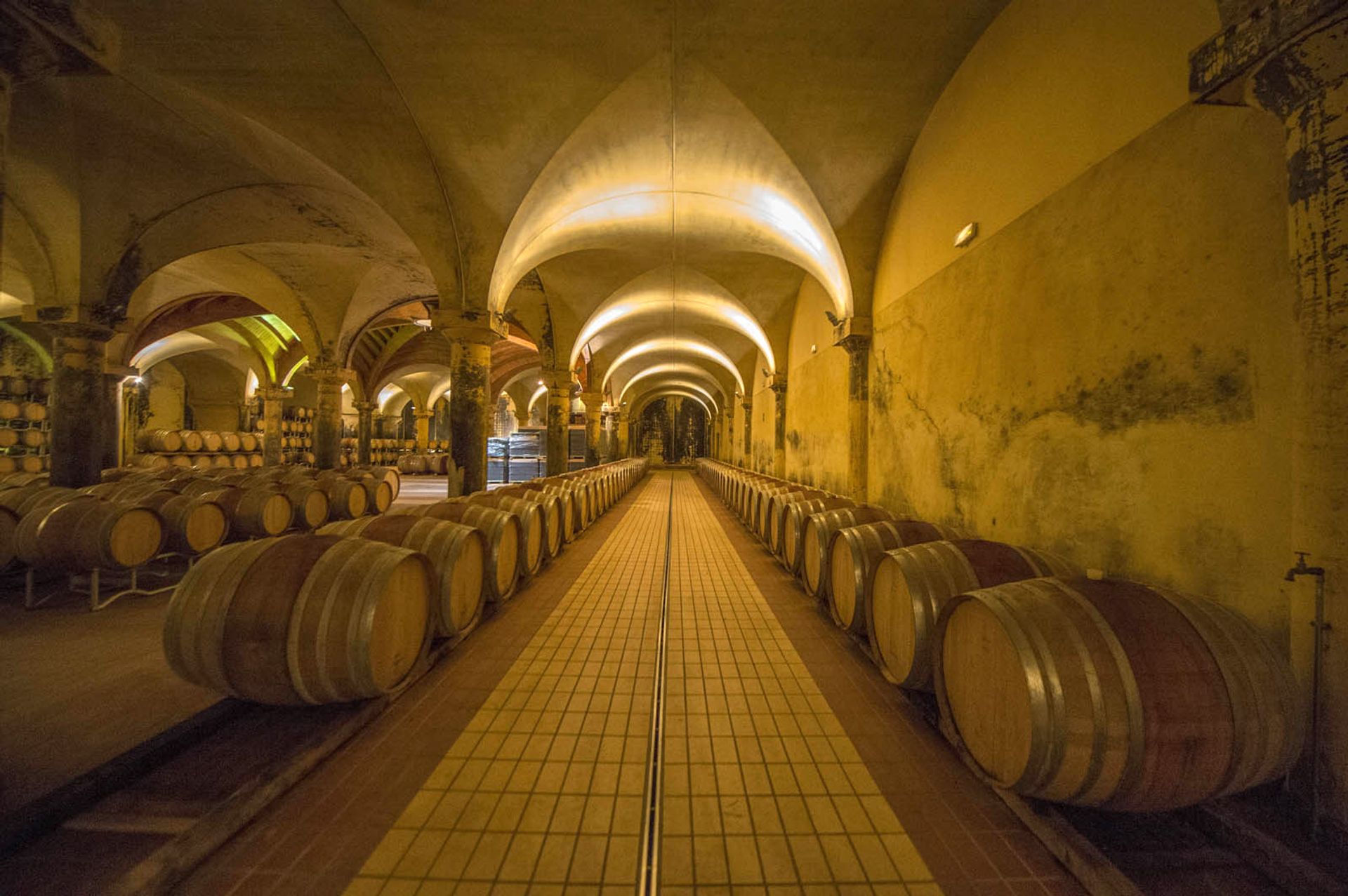 Altro nel Castellina In Chianti, Siena 10063367