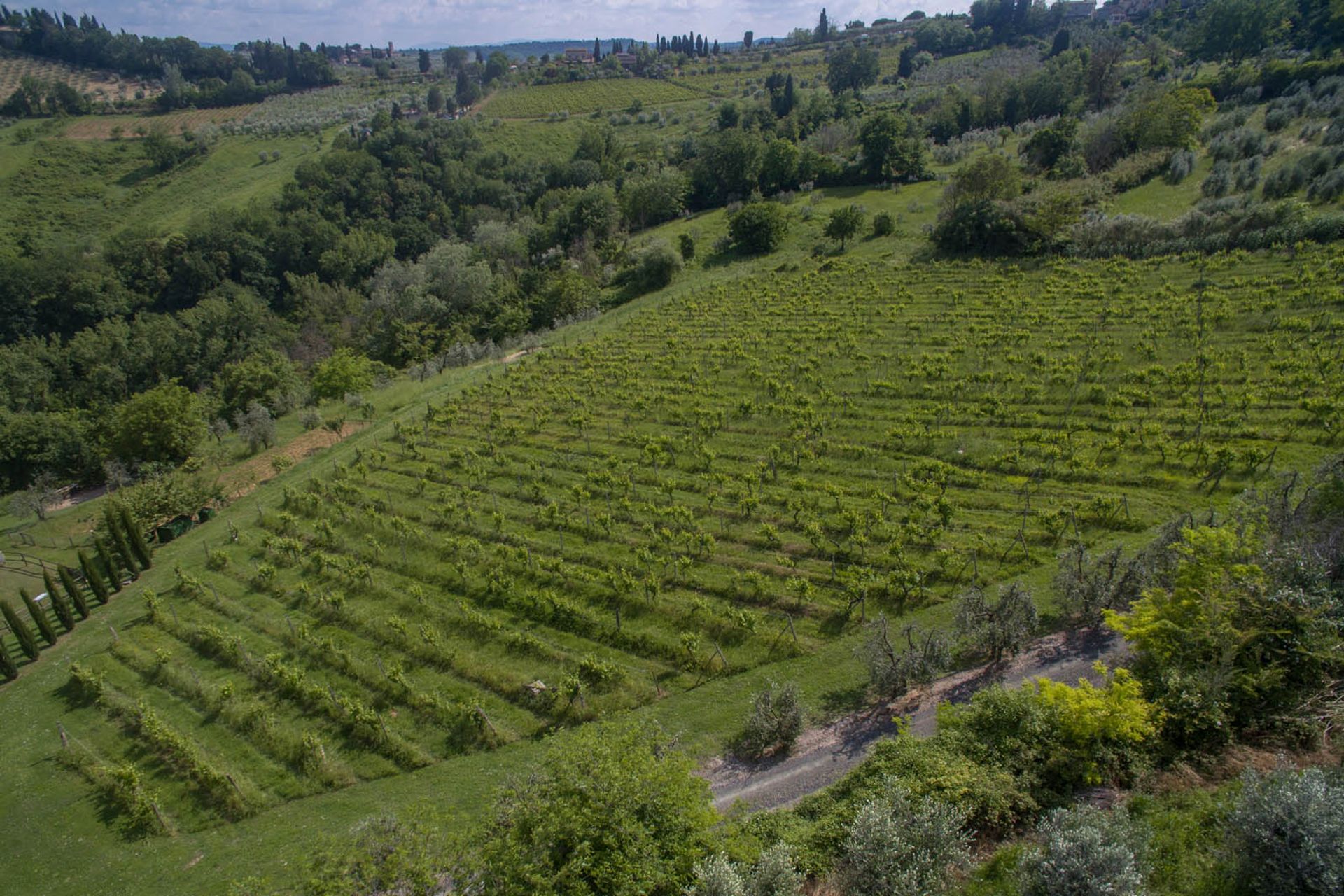 casa en San Gimignano, toscana 10063422