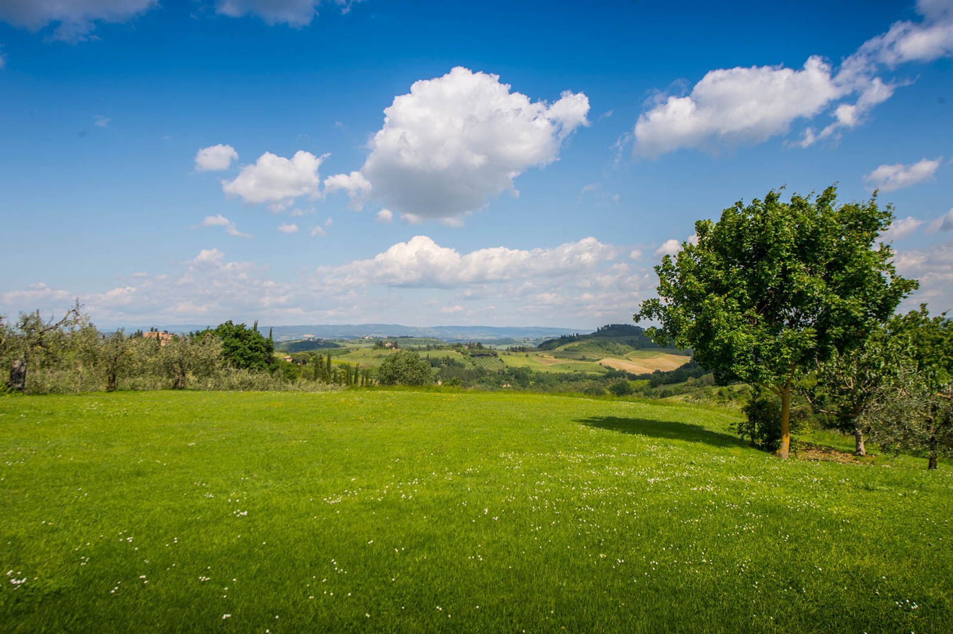 Rumah di San Gimignano, Siena 10063422