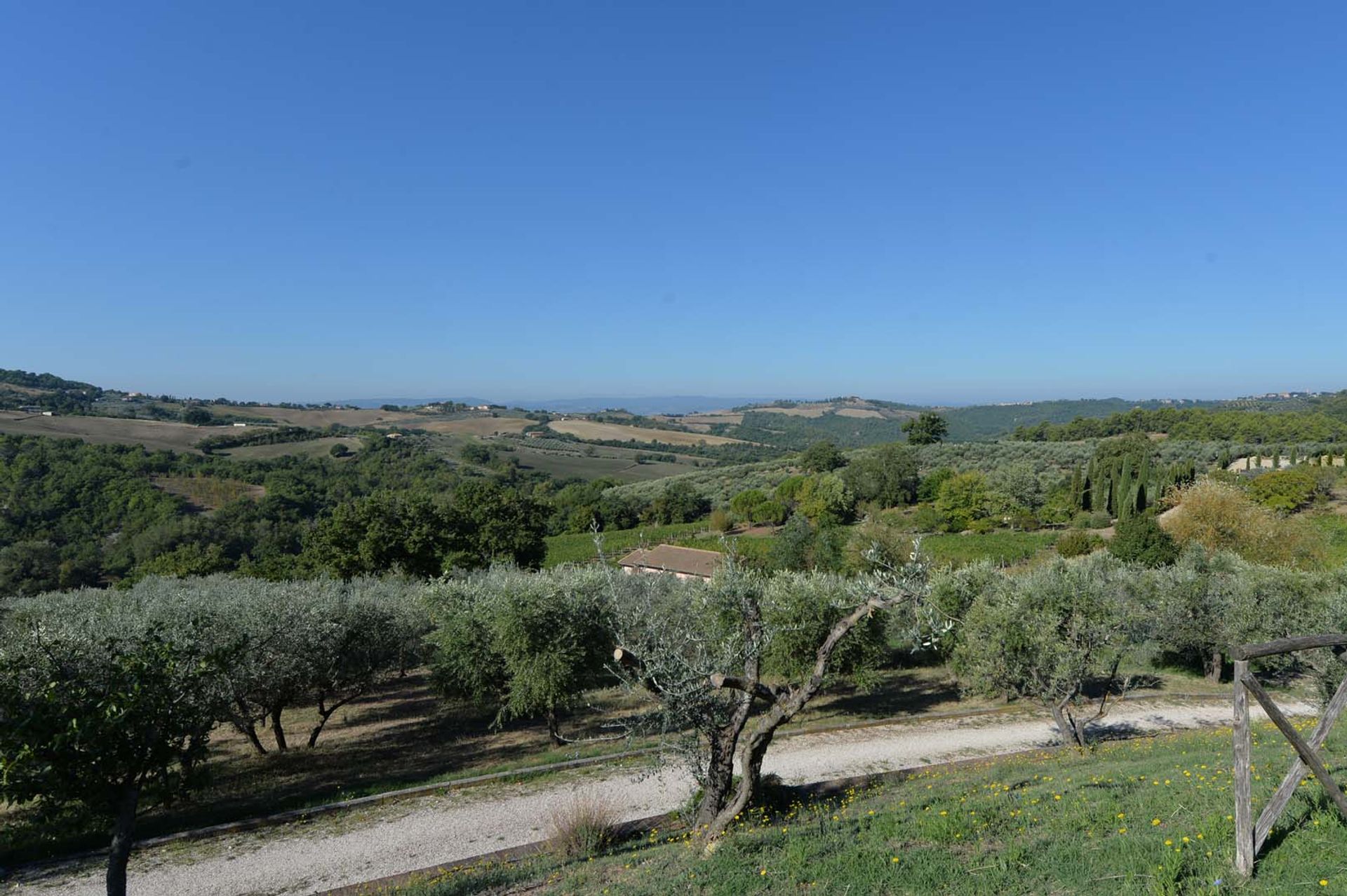 Altro nel Gualdo Cattaneo, Perugia 10063424