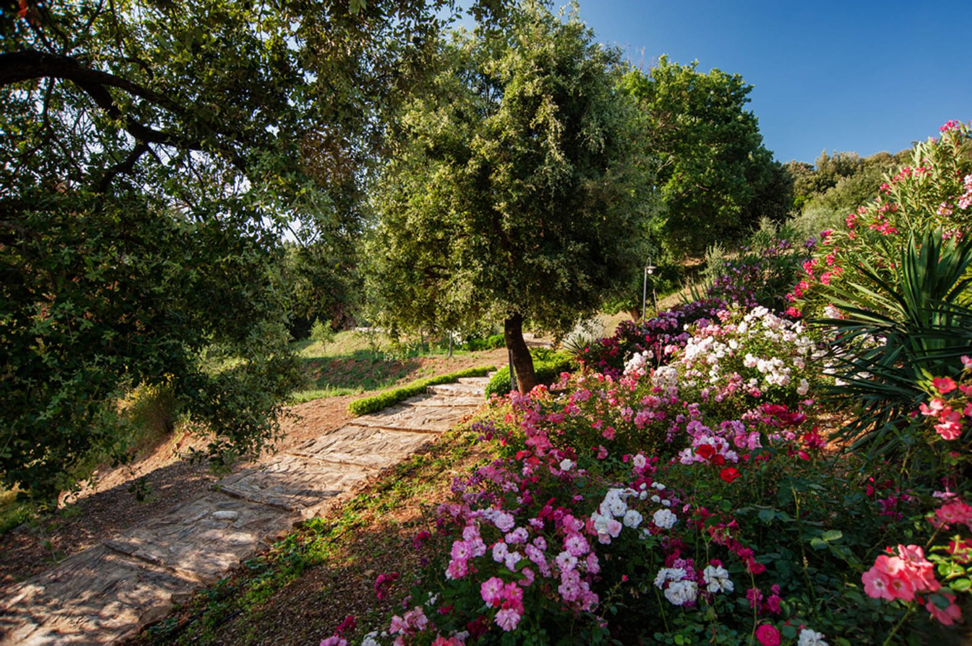 House in Pieve a Scuola, Tuscany 10063450