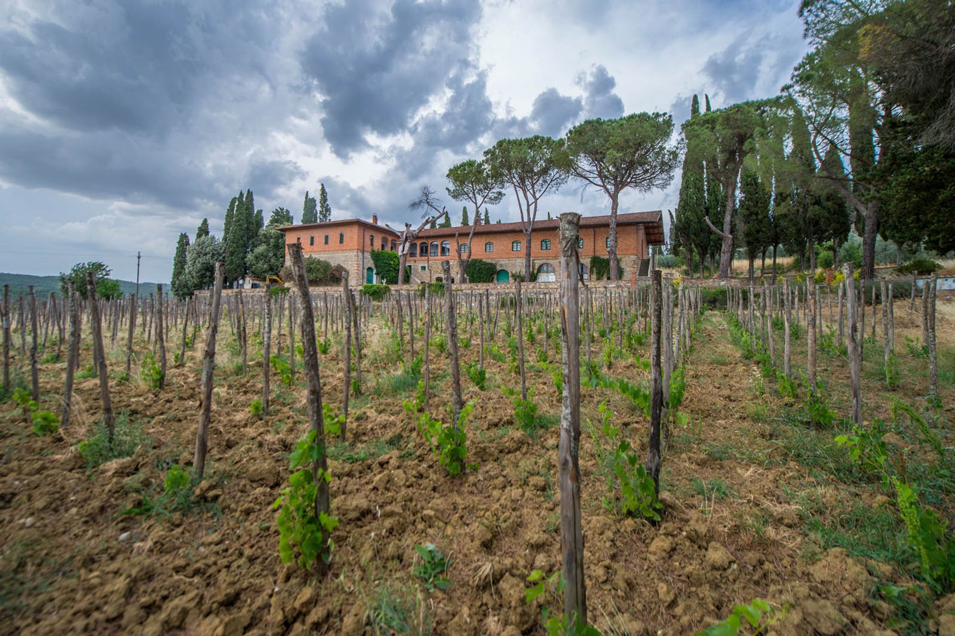 Yang lain dalam Laterina, Tuscany 10063470