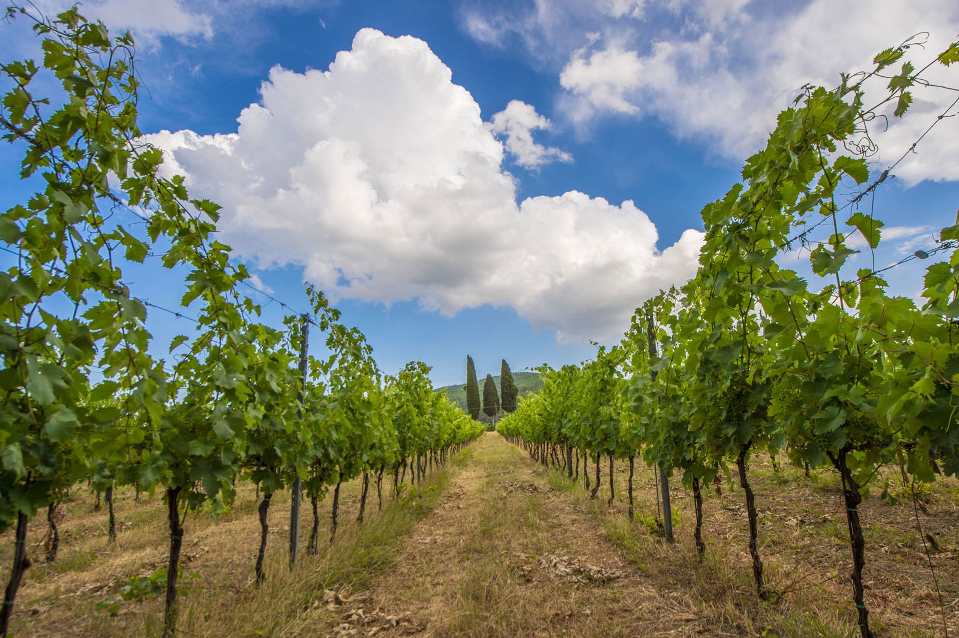 אַחֵר ב Laterina-Pergine, Arezzo 10063470