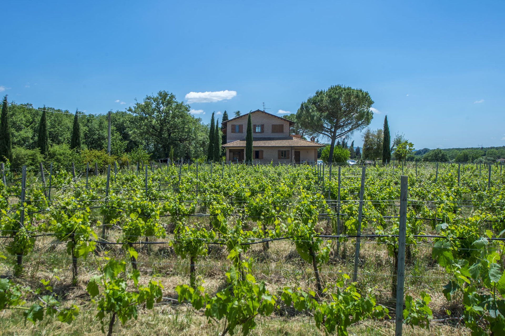 Annen i Castiglione del Lago, Umbria 10063486