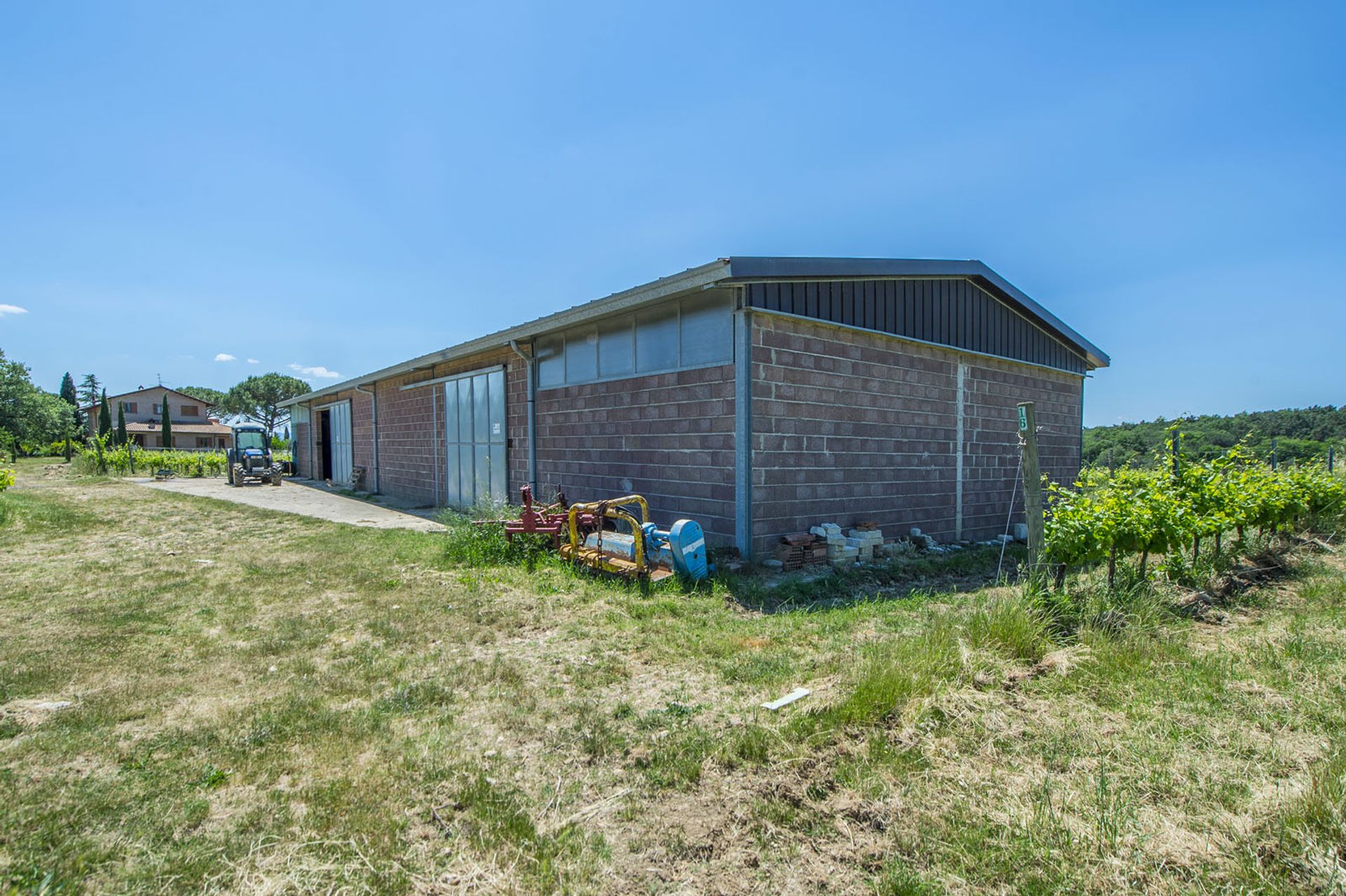 Altro nel Castiglione del Lago, Umbria 10063486