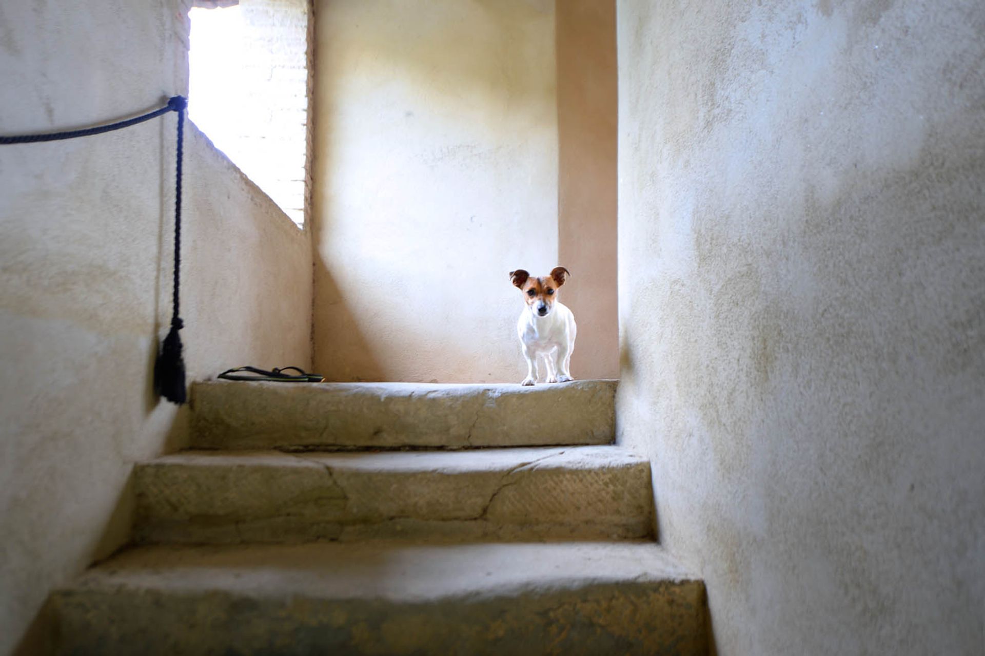 House in Anghiari, Arezzo 10063490