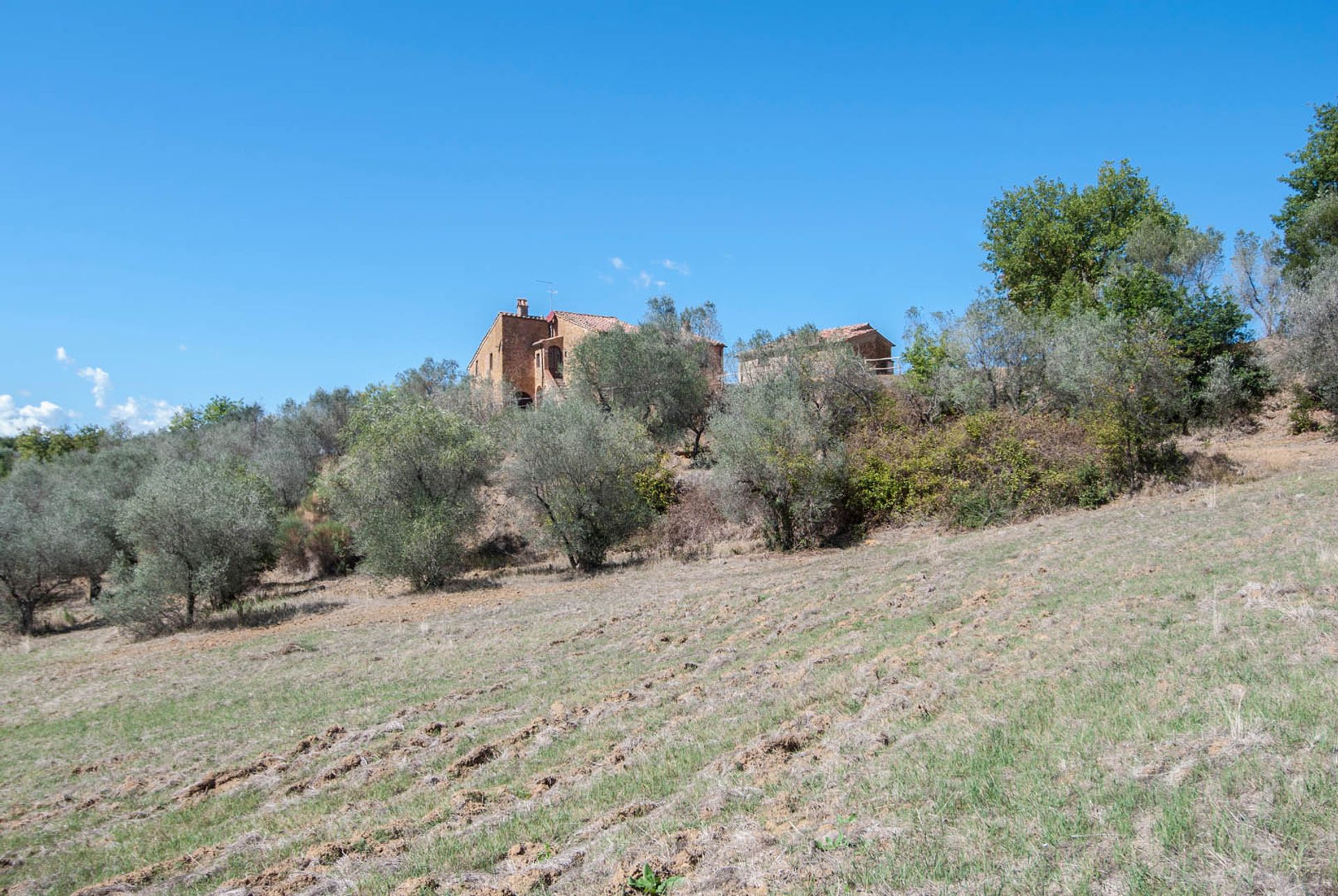 σπίτι σε Trequanda, Siena 10063523