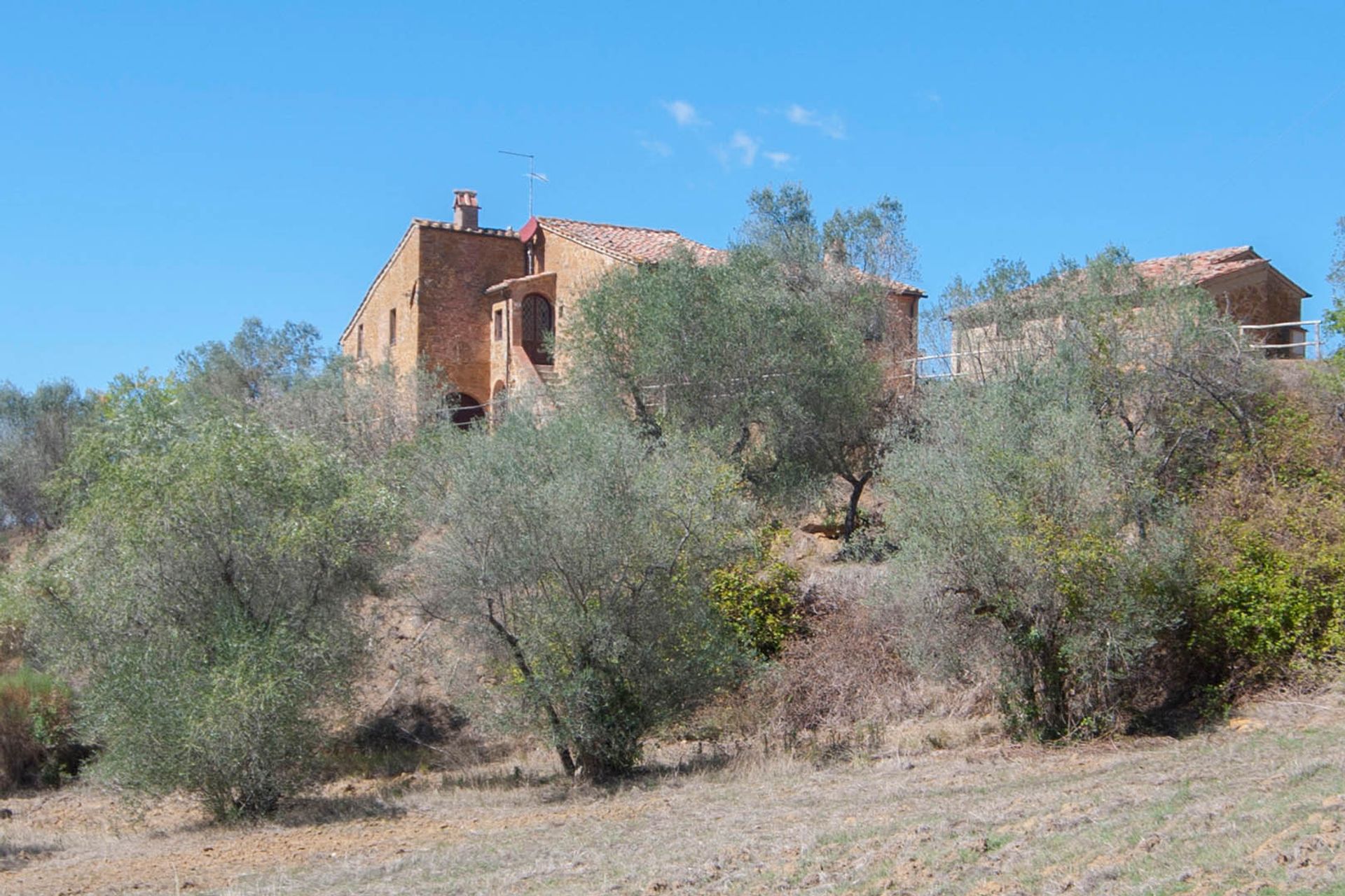 σπίτι σε Trequanda, Siena 10063523