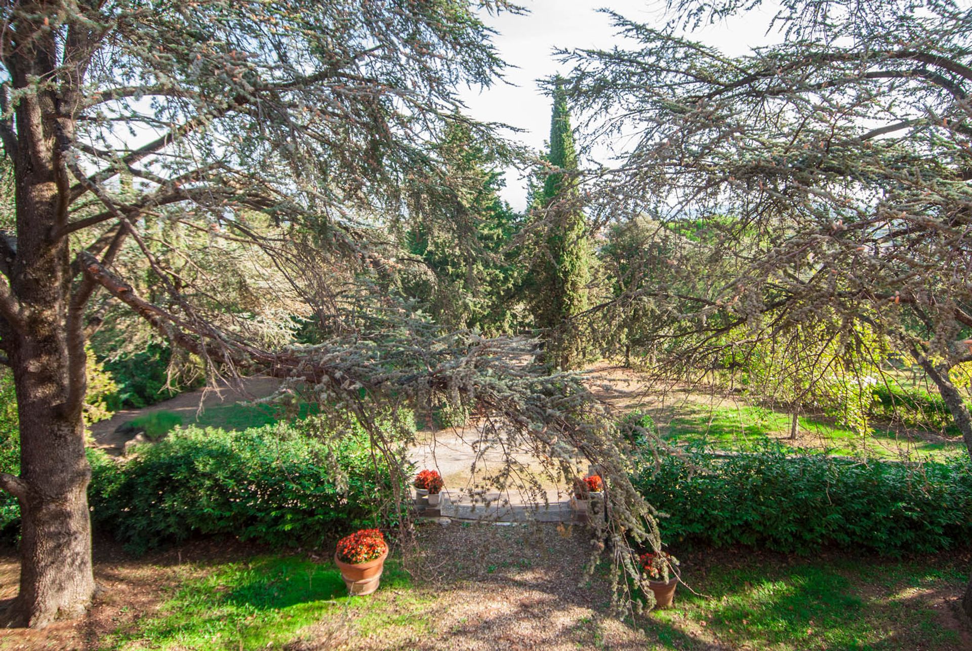 Rumah di Laterina-Pergine, Arezzo 10063617