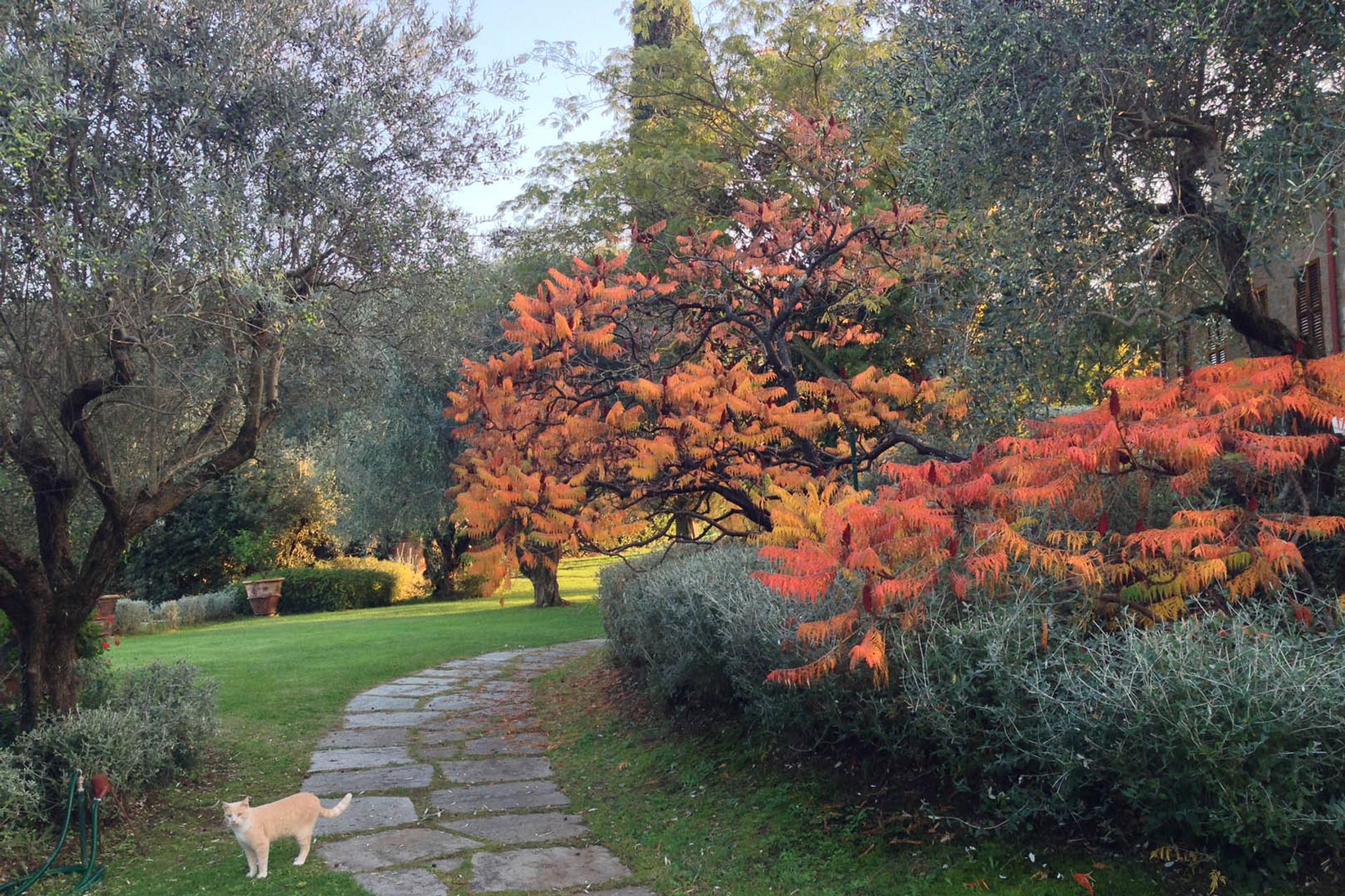 房子 在 Perugia, Perugia 10063665