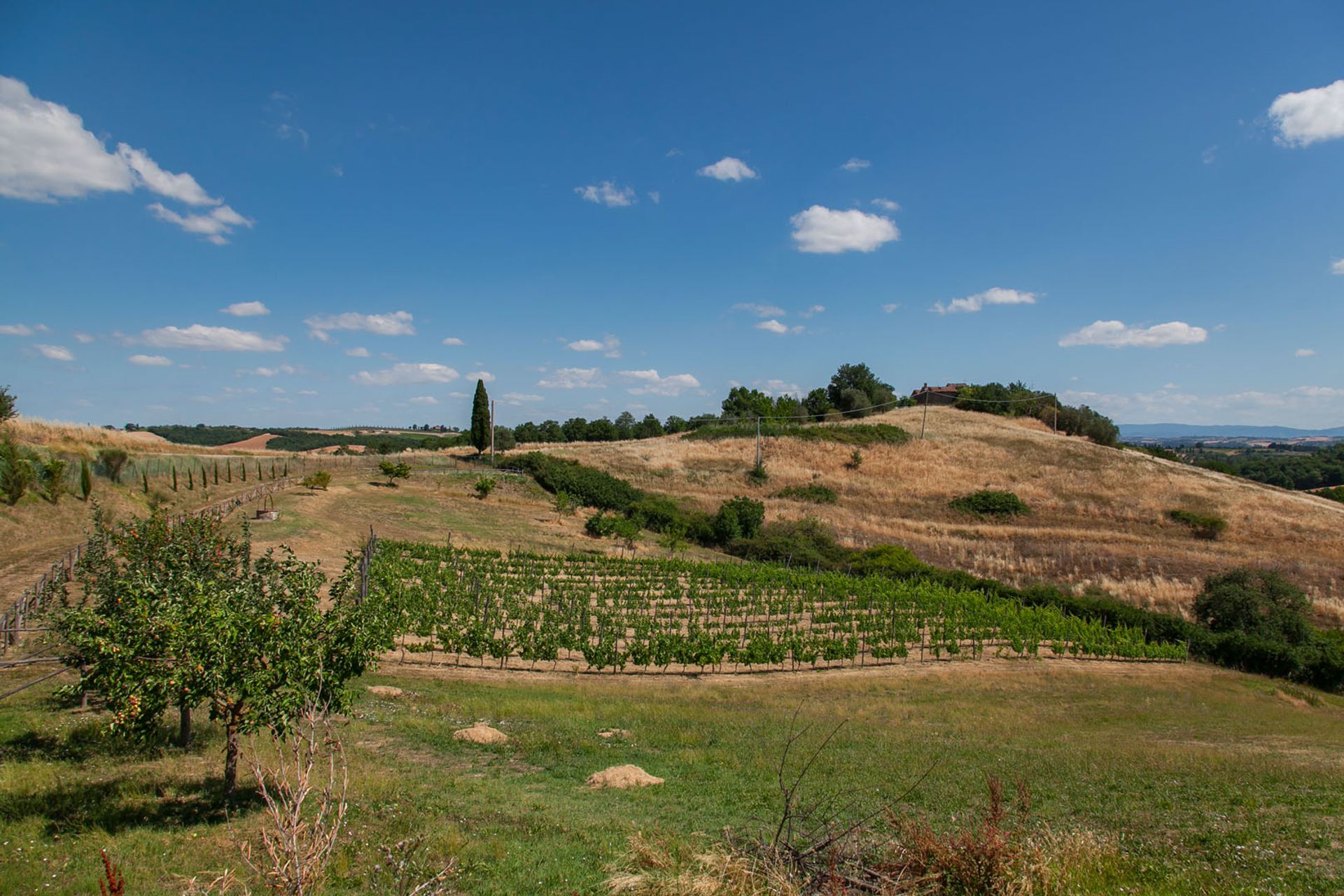 Talo sisään Chiusi, Siena 10063679