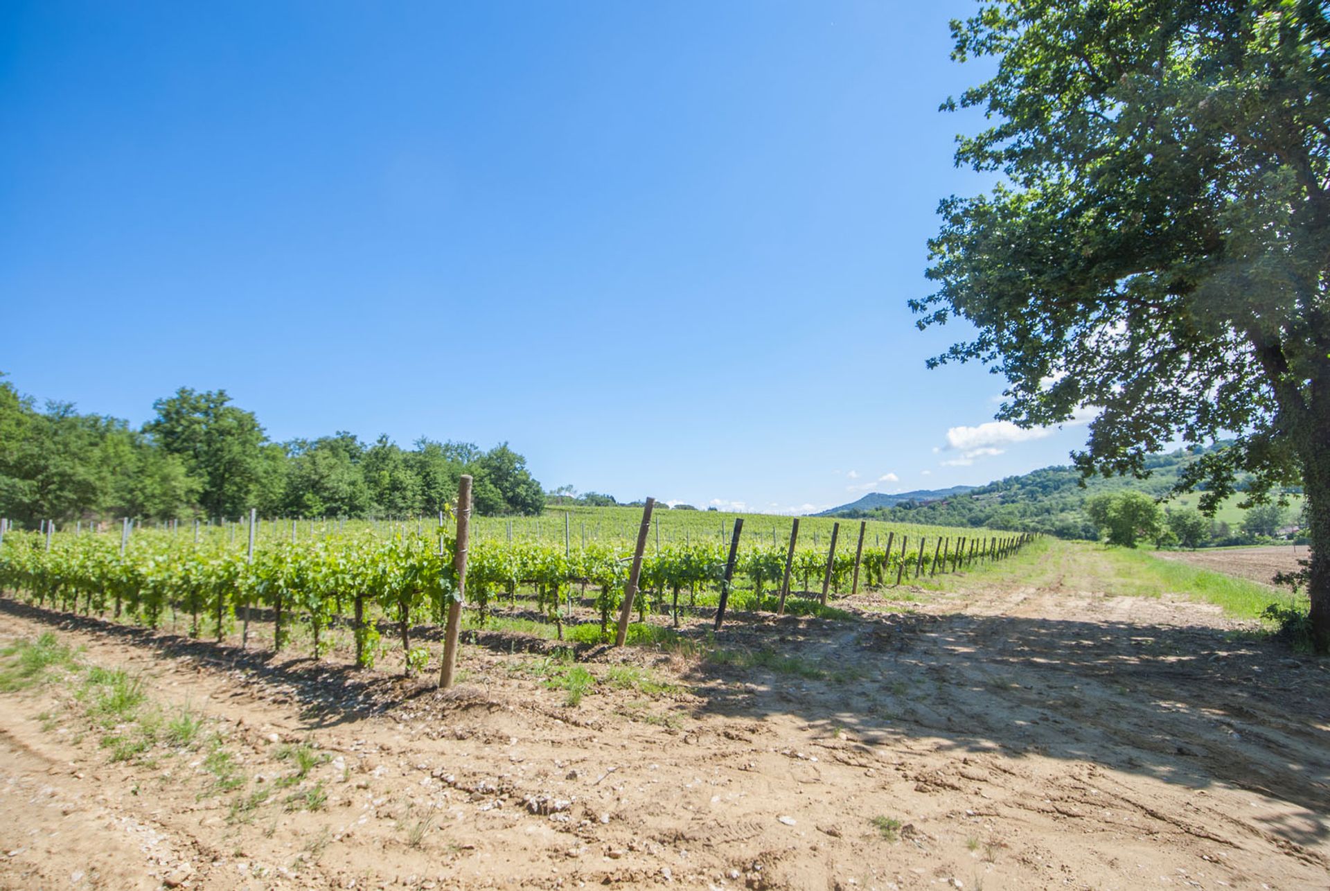 Autre dans Monteleone d'Orvieto, Ombrie 10063777