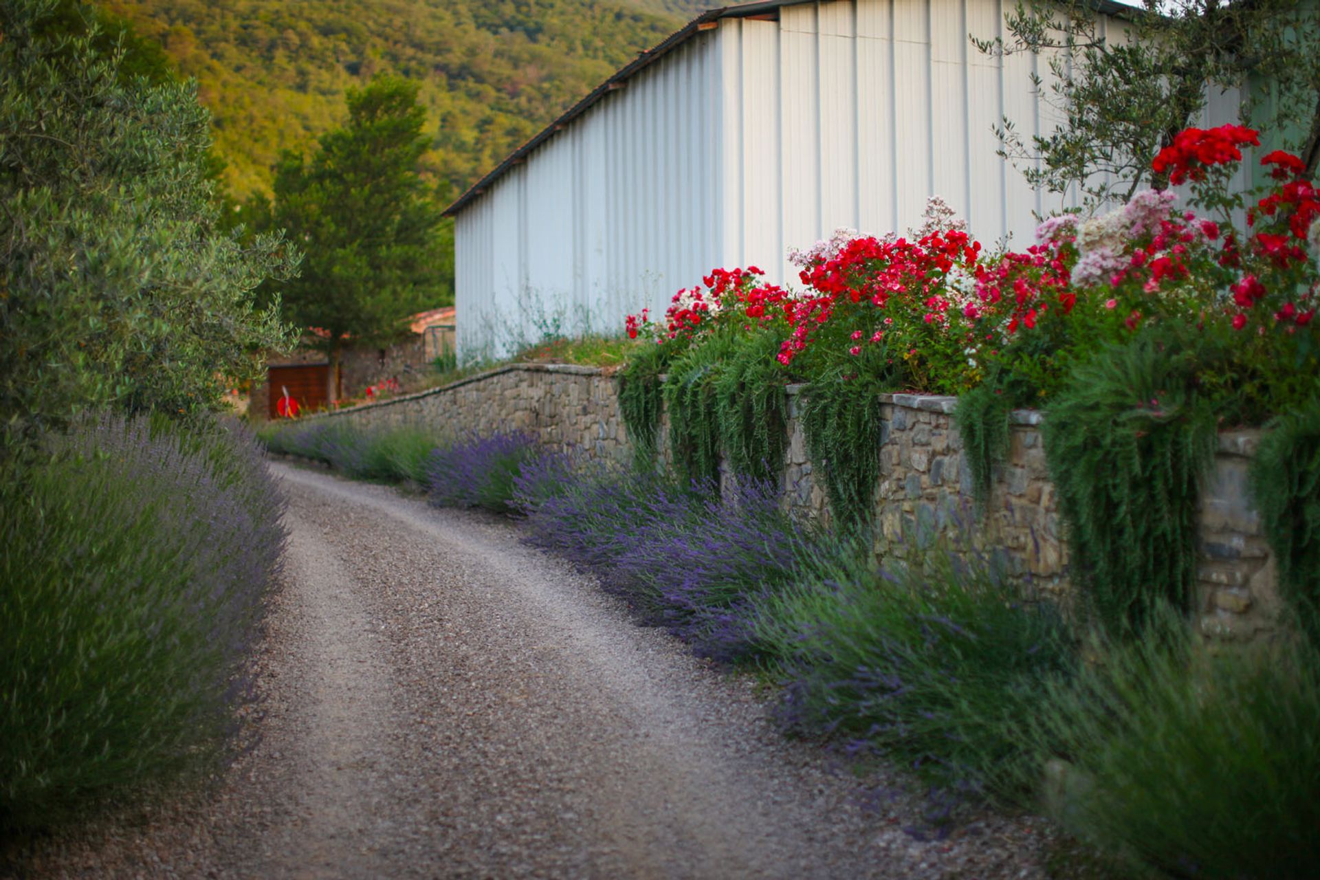 loger dans Sainte Cristine, Toscane 10063793