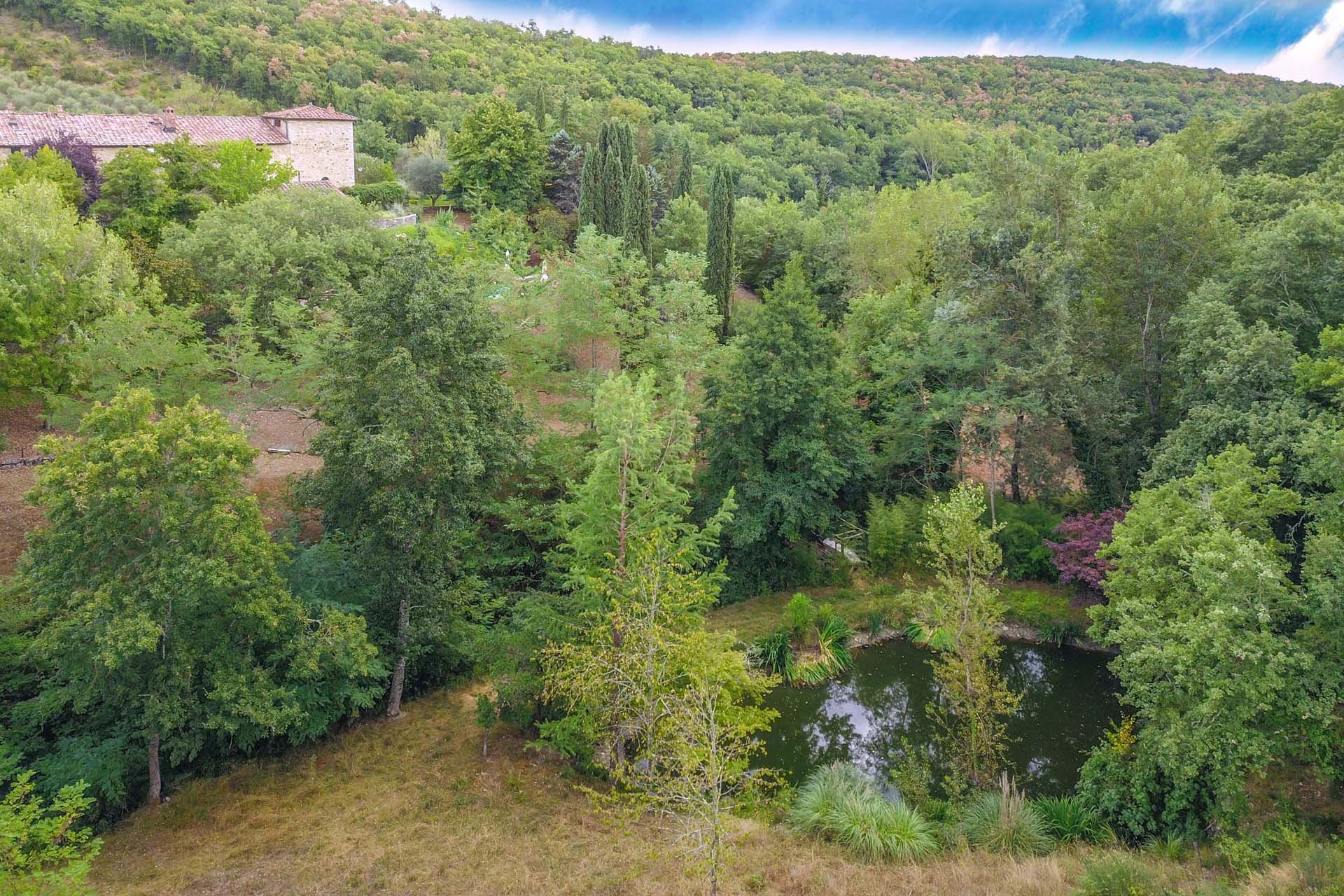 다른 에 Castellina In Chianti, Siena 10063799