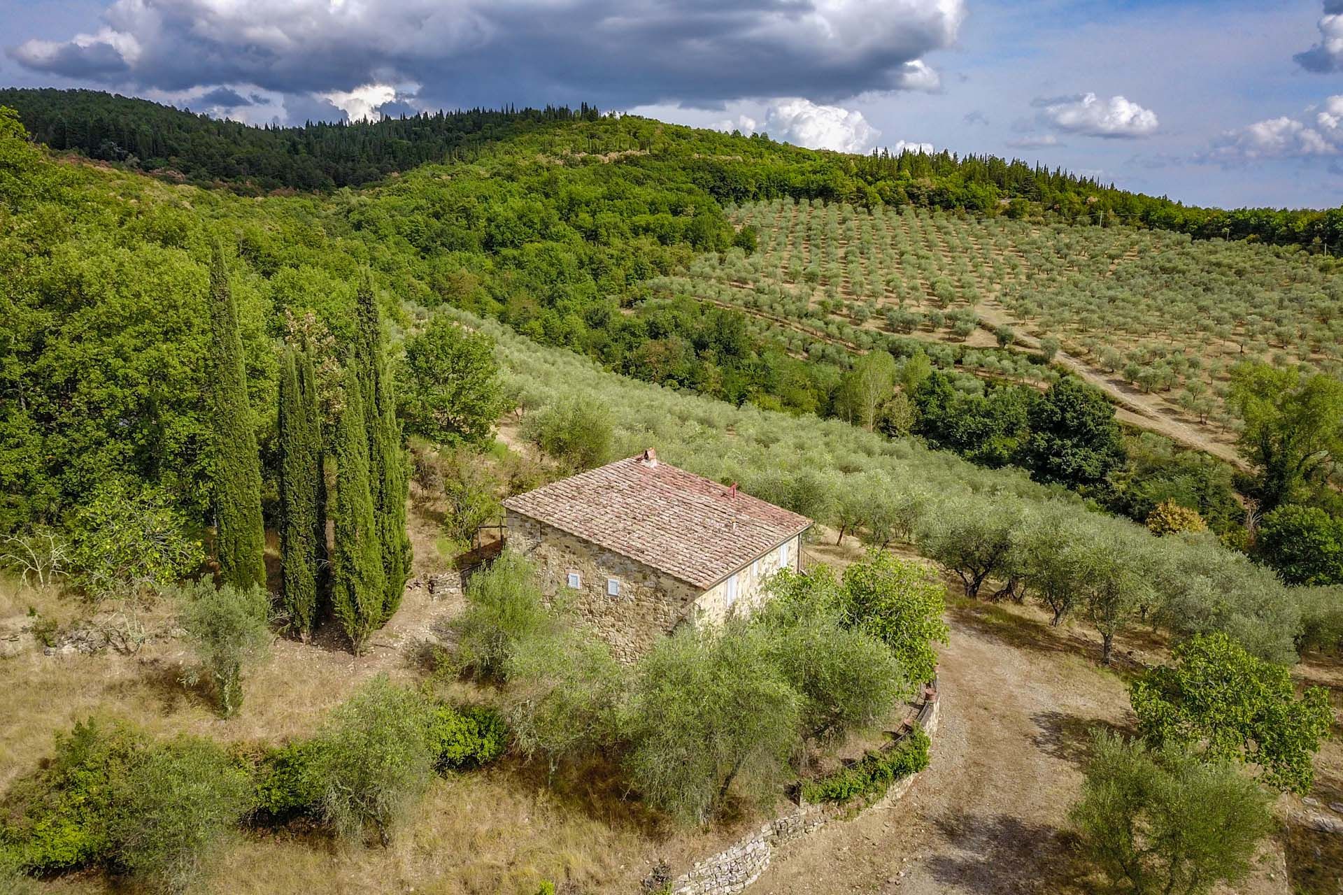 Yang lain dalam Castellina In Chianti, Siena 10063799