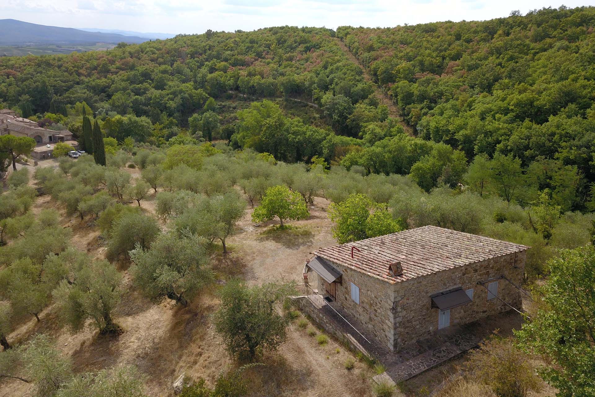 다른 에 Castellina In Chianti, Siena 10063799