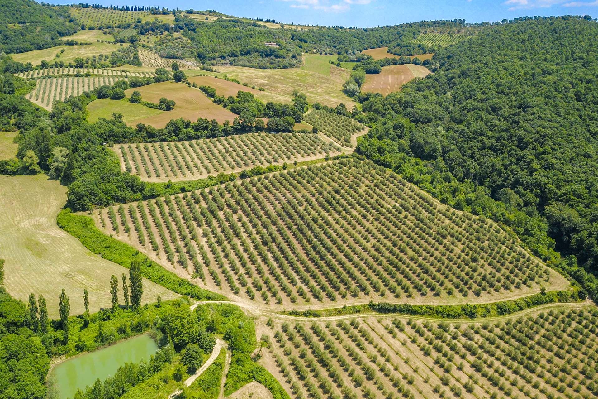 жилой дом в Citta Di Castello, Perugia 10063862